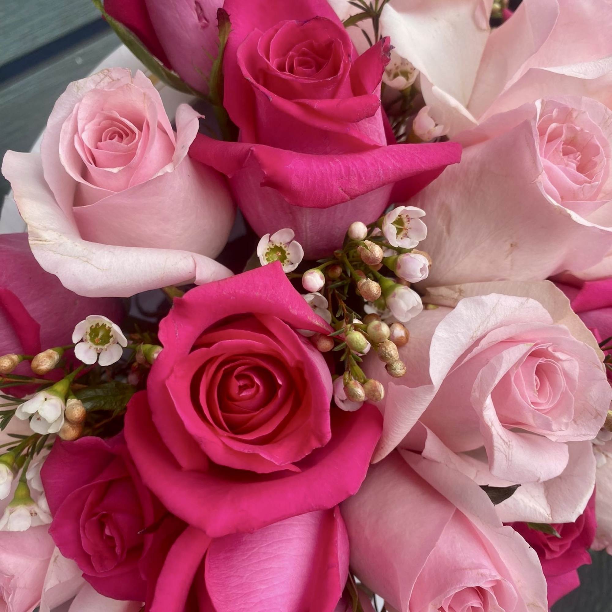 Bouquet of pink and hot pink roses with small white filler flowers