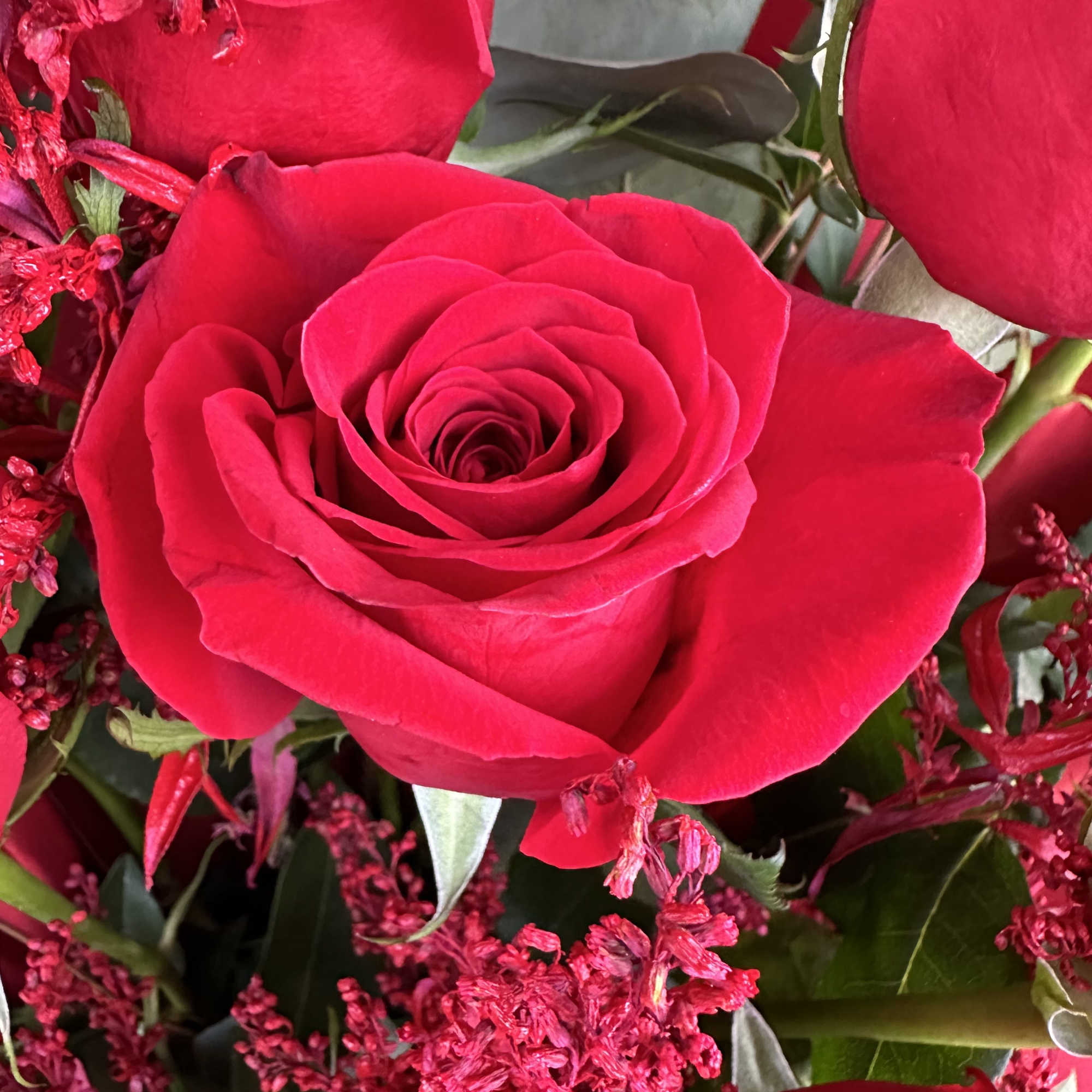 Close-up of bright red roses with red filler flowers