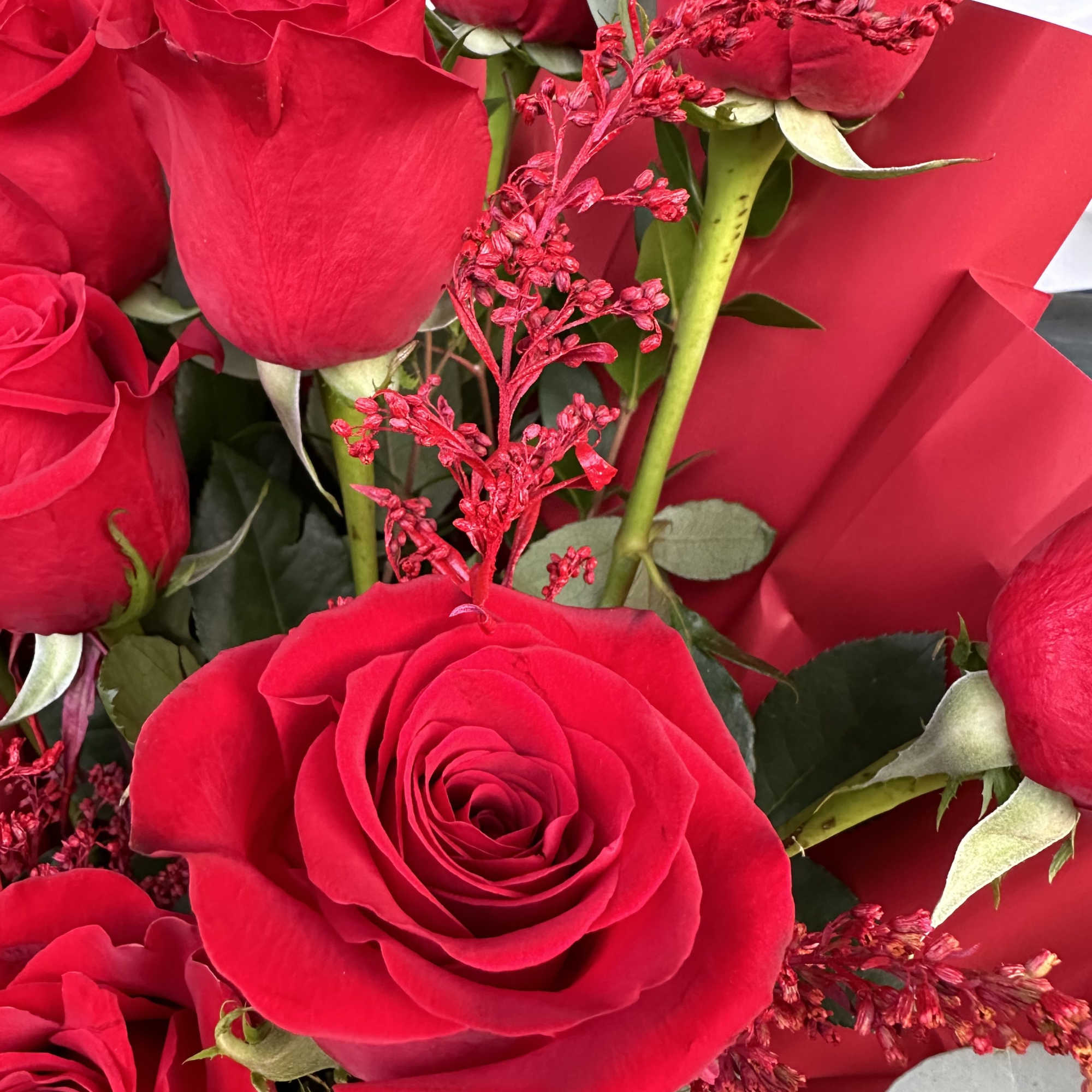 Close-up bouquet of red roses with red filler flowers