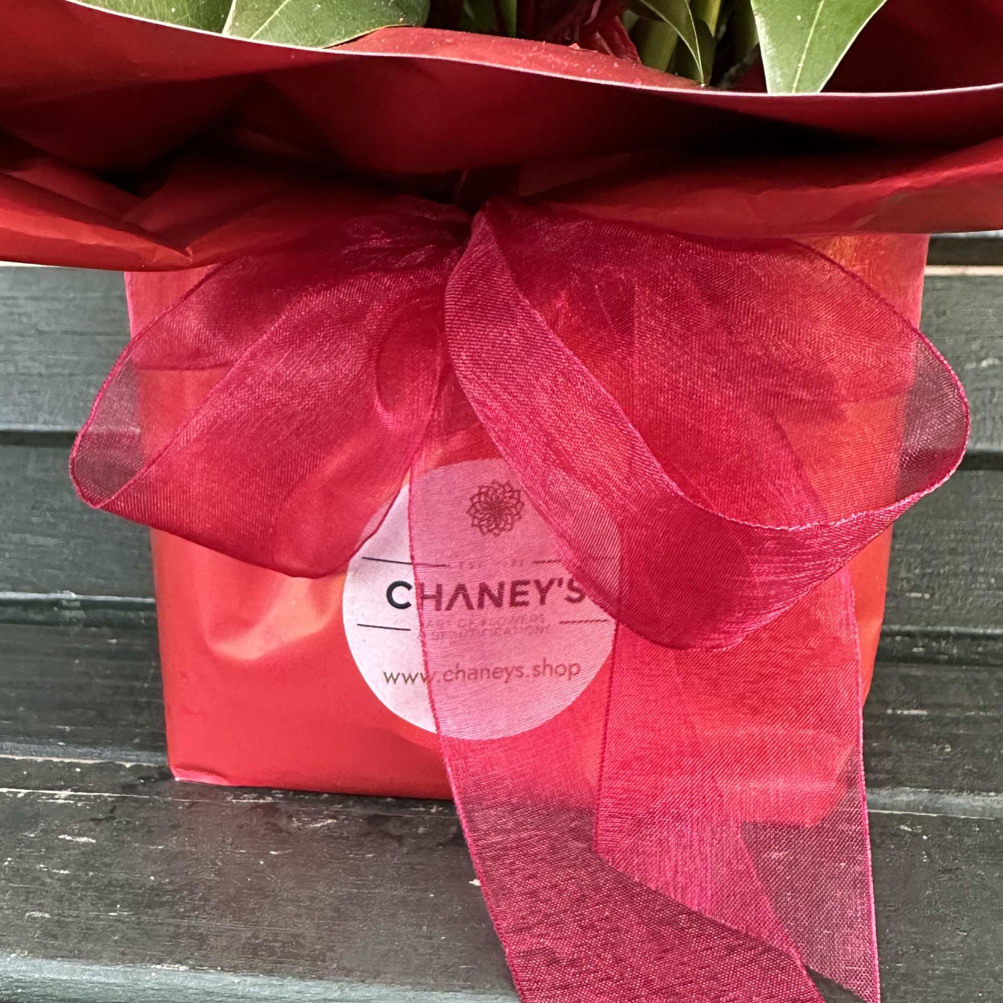Red gift box with a large sheer ribbon and green plant leaves