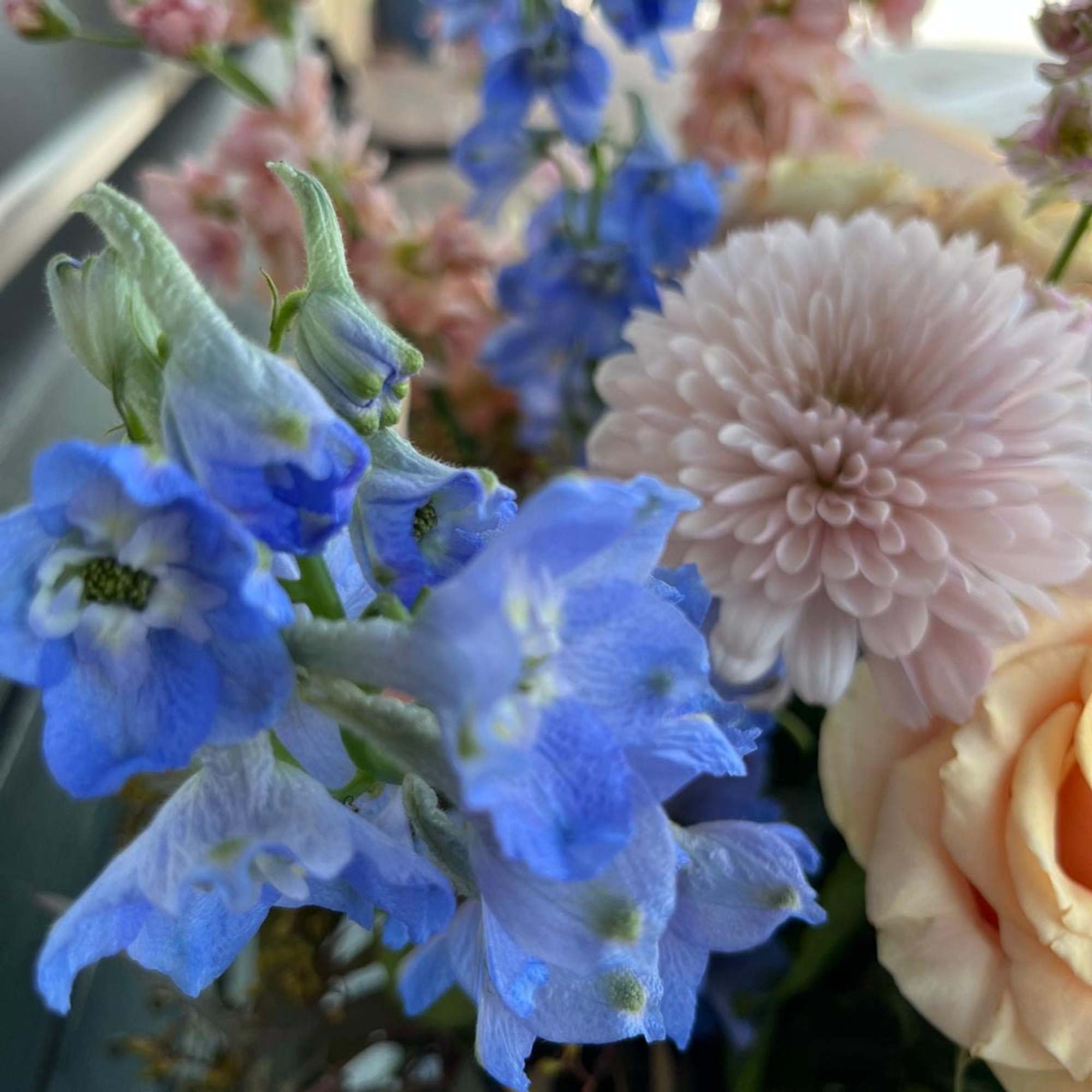 Close-up bouquet with blue delphinium, pale pink chrysanthemum, and peach rose