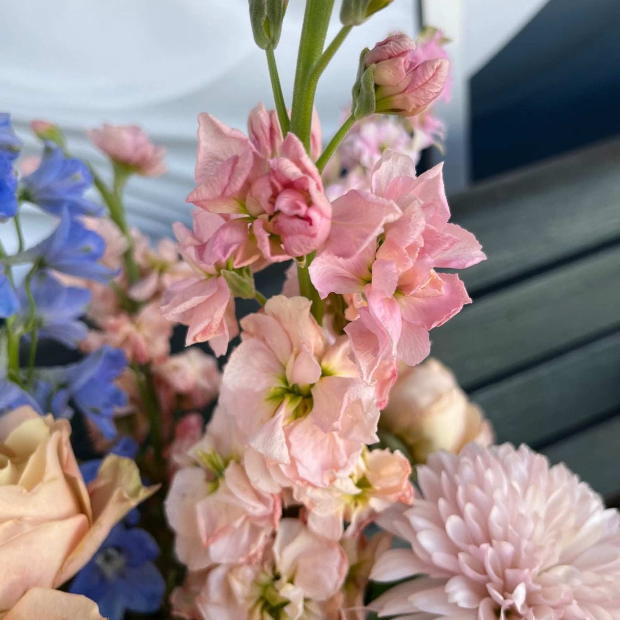 Pink stock flowers with a pale dahlia and blue blooms in a bouquet