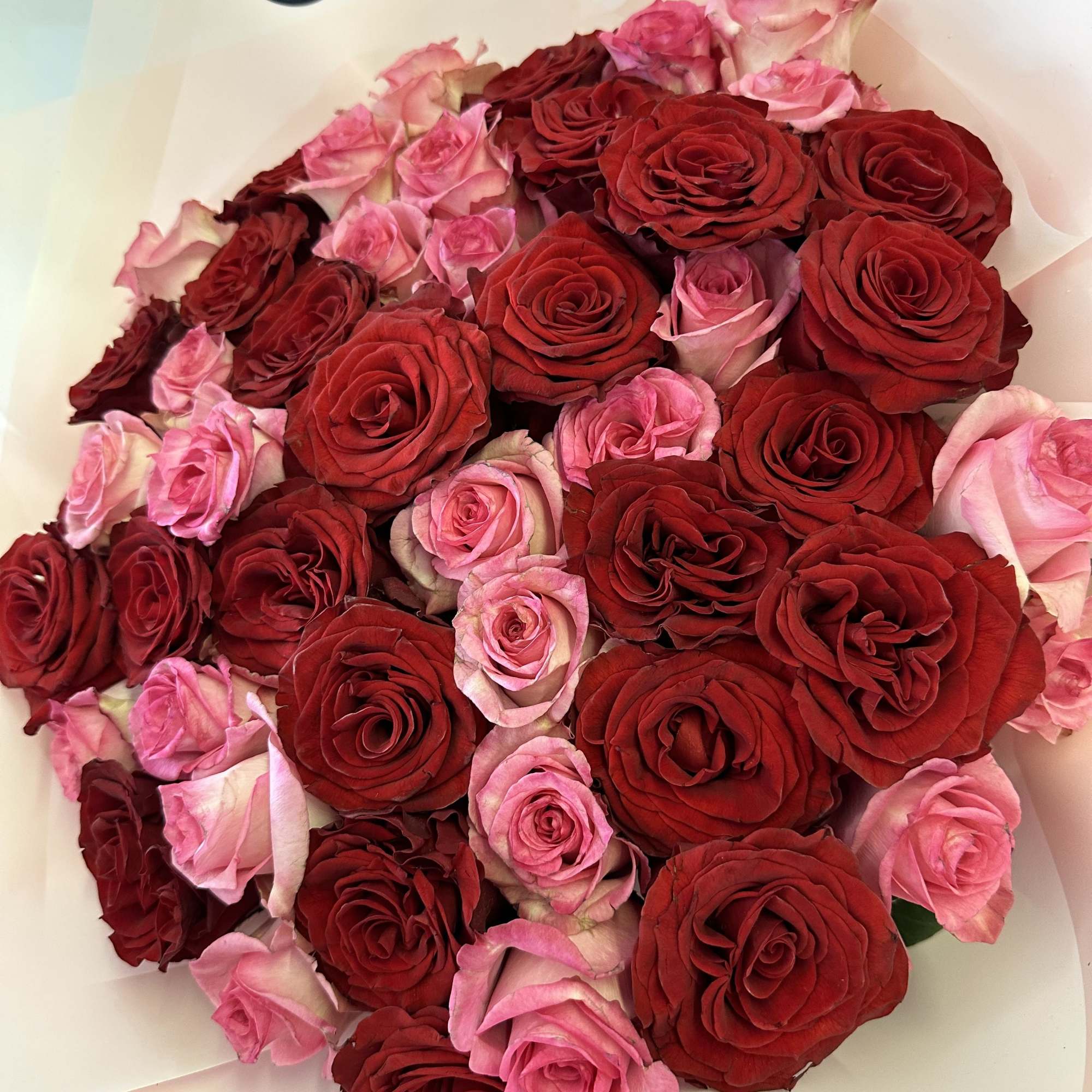 Bouquet of red and pink roses wrapped in white paper