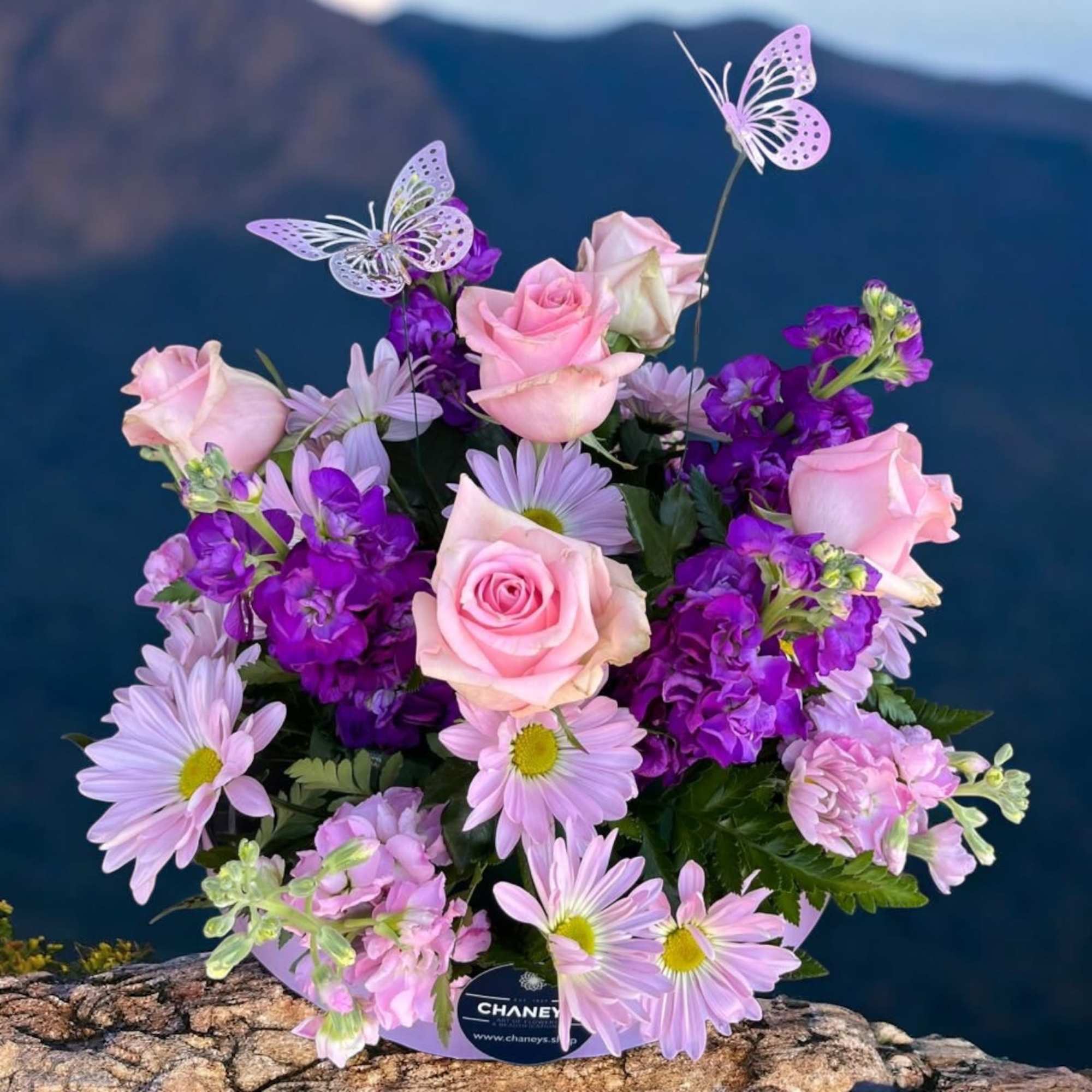 Pink roses and lavender daisies in a round bouquet with butterfly picks