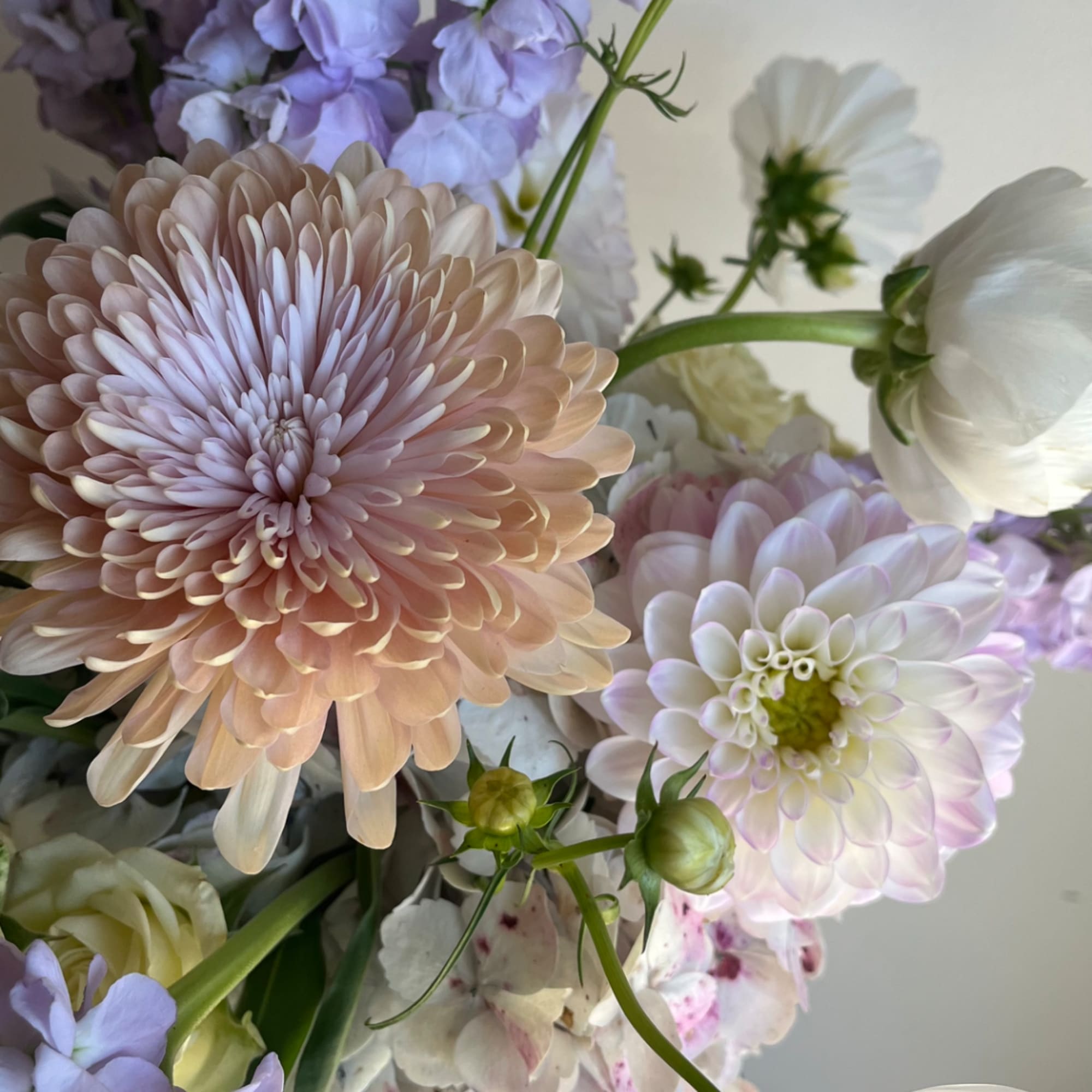 Pastel dahlias and white cosmos in a close-up bouquet