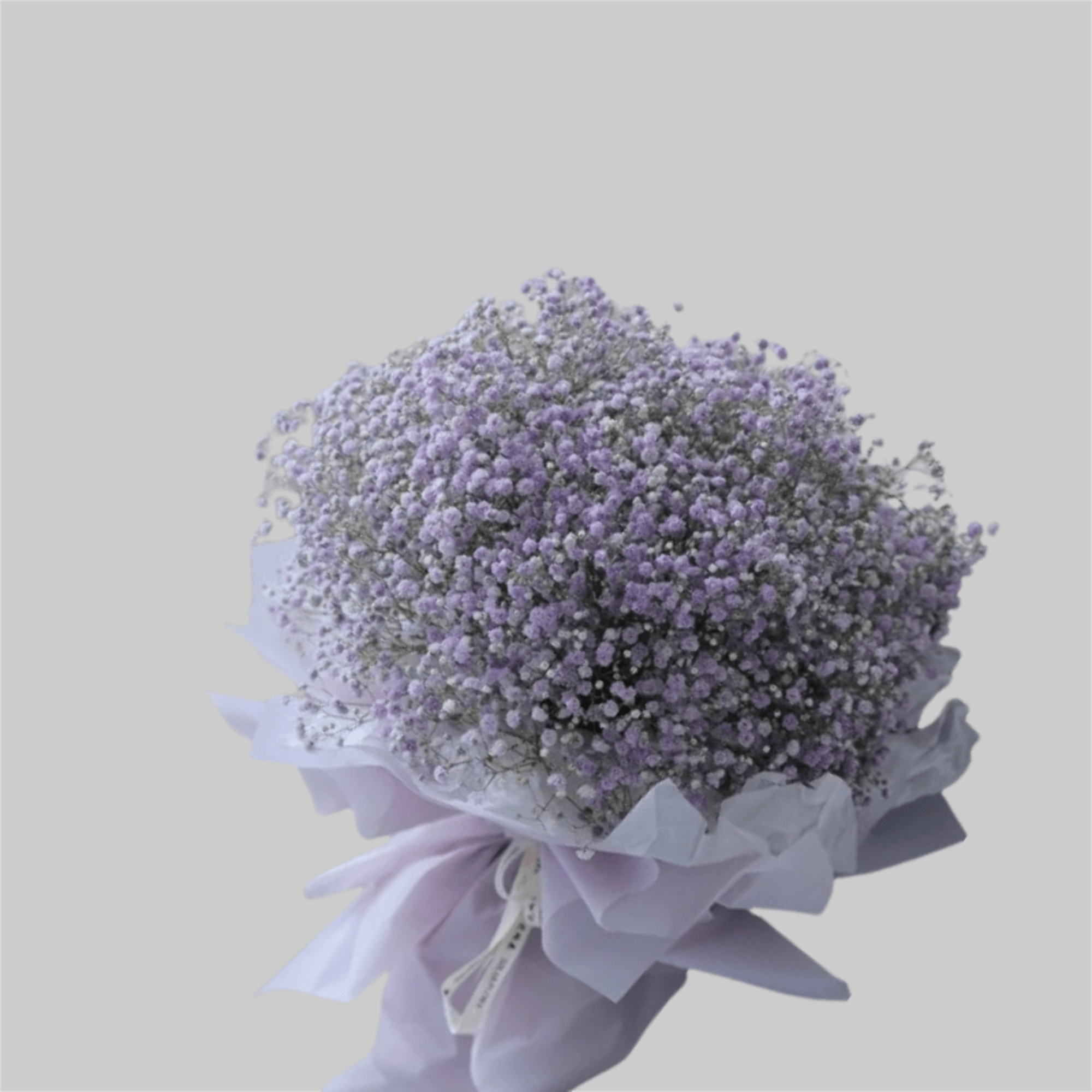 Lavender baby's breath bouquet wrapped in pale purple paper
