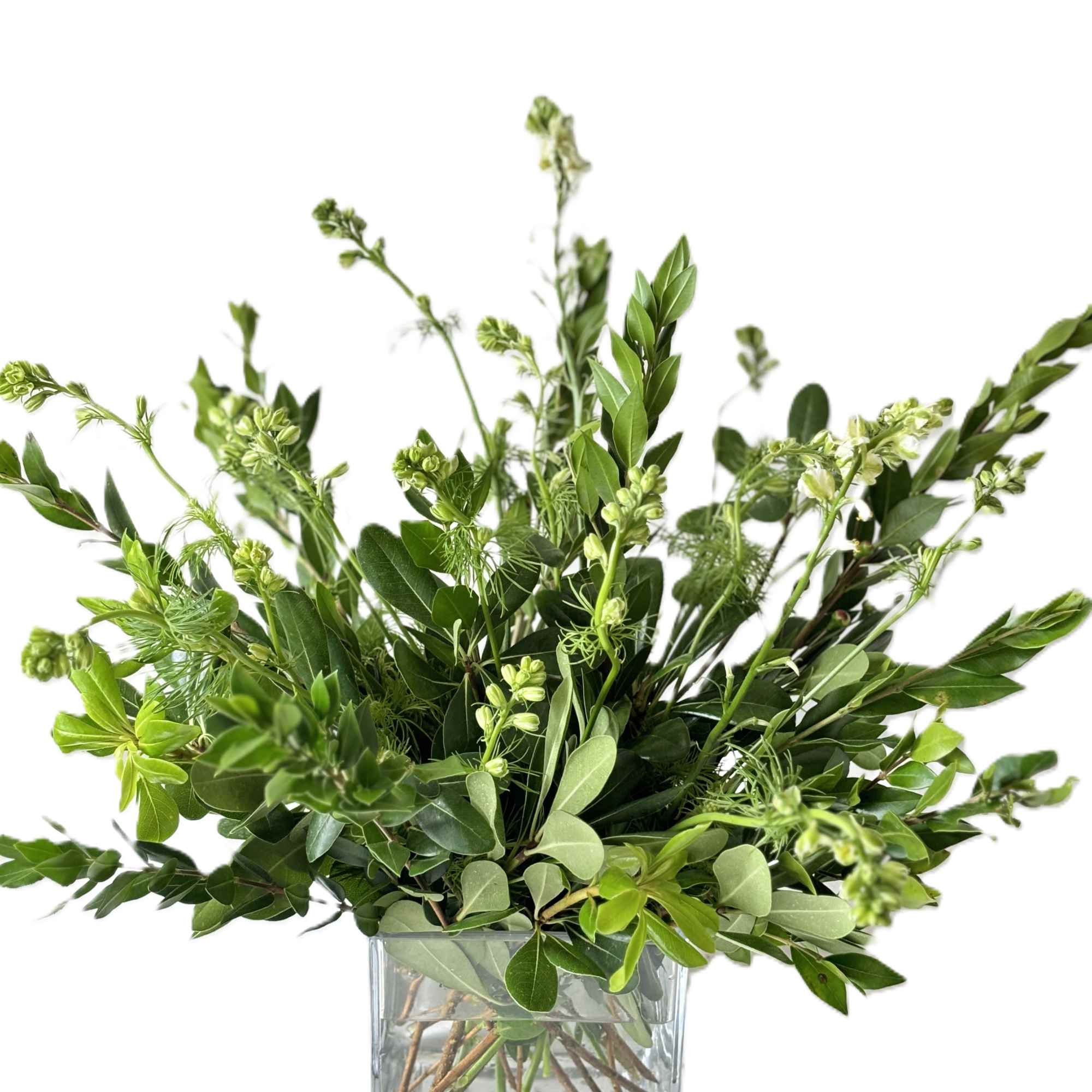 Green foliage arrangement in a square glass vase