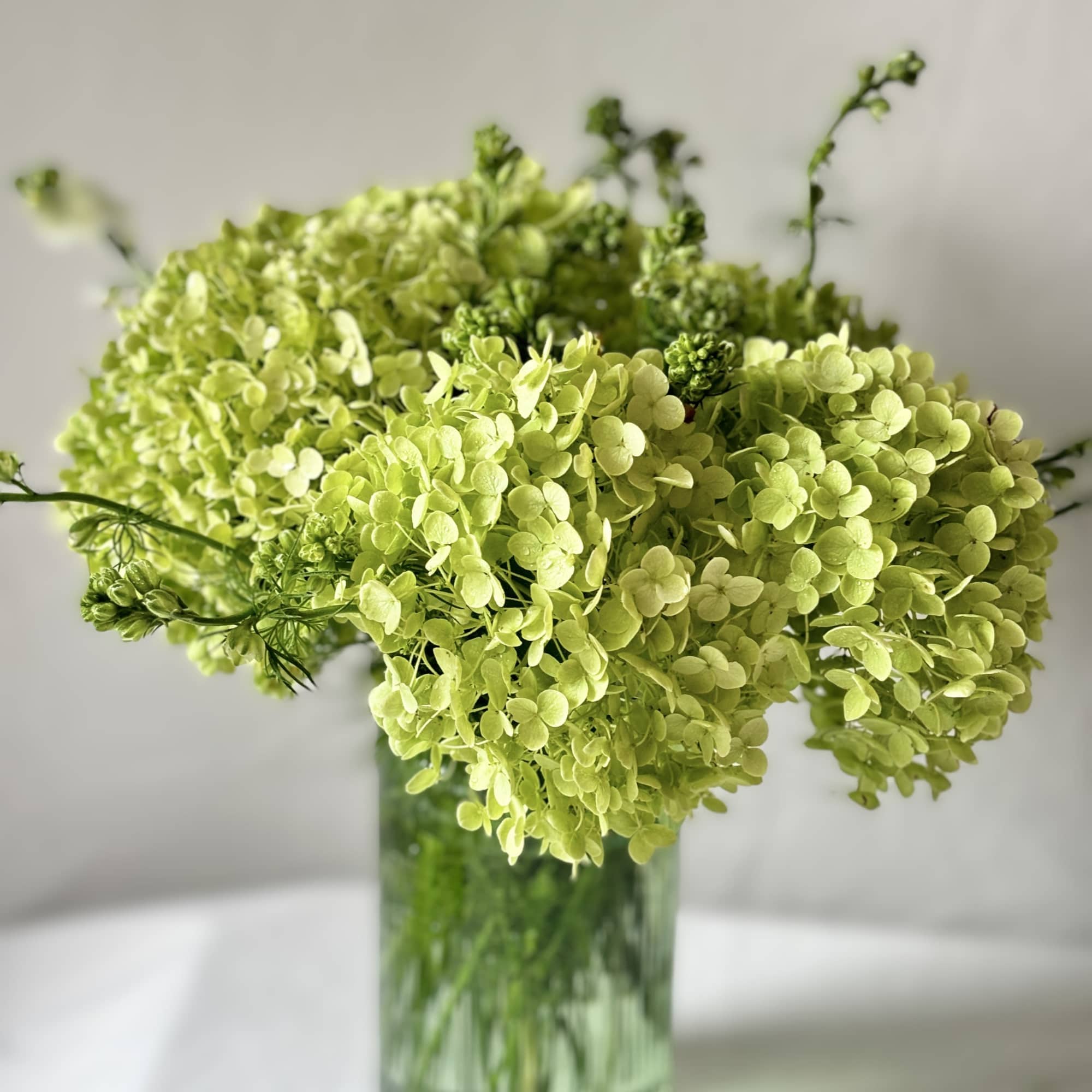 Green hydrangea arrangement in a clear glass vase