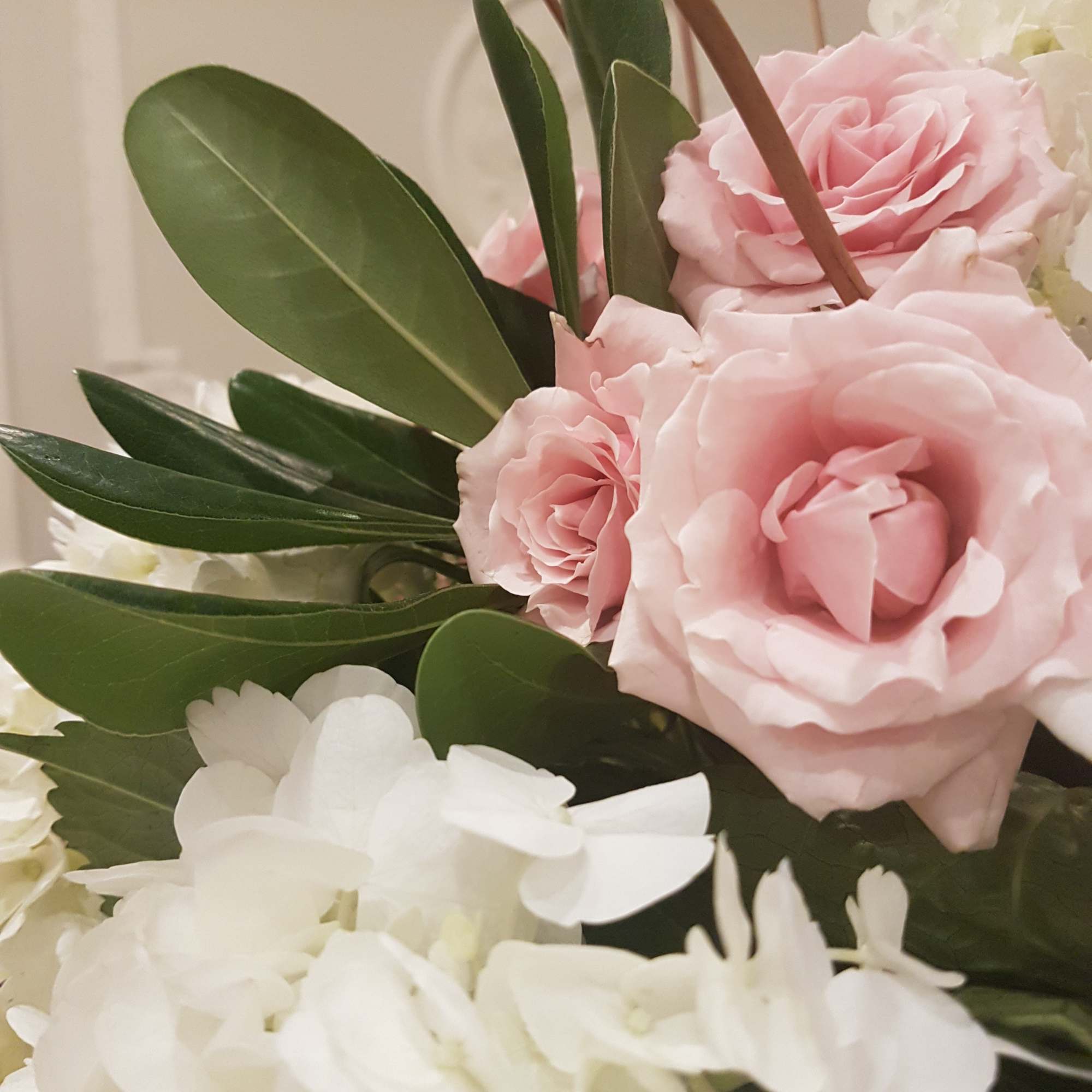 Pink roses and white hydrangeas with broad green leaves