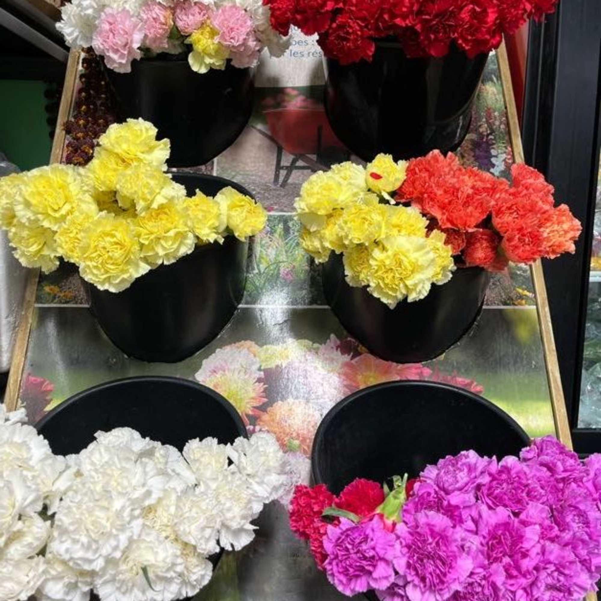 Black buckets filled with colorful carnations in white, red, yellow, and pink