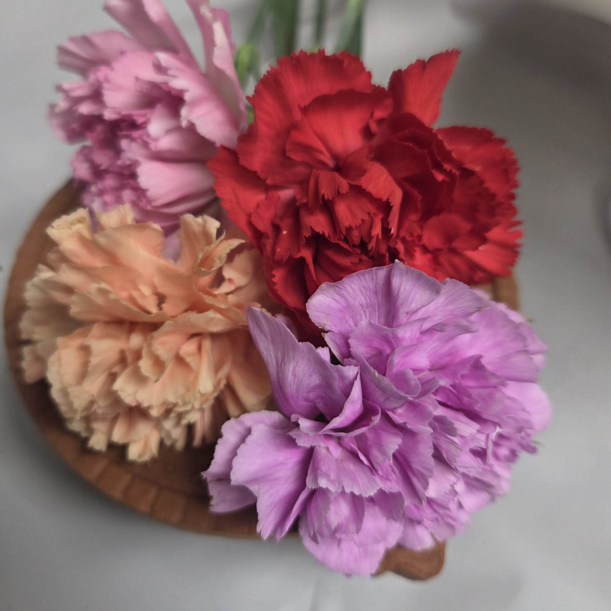 Bouquet of colorful carnations in a round container