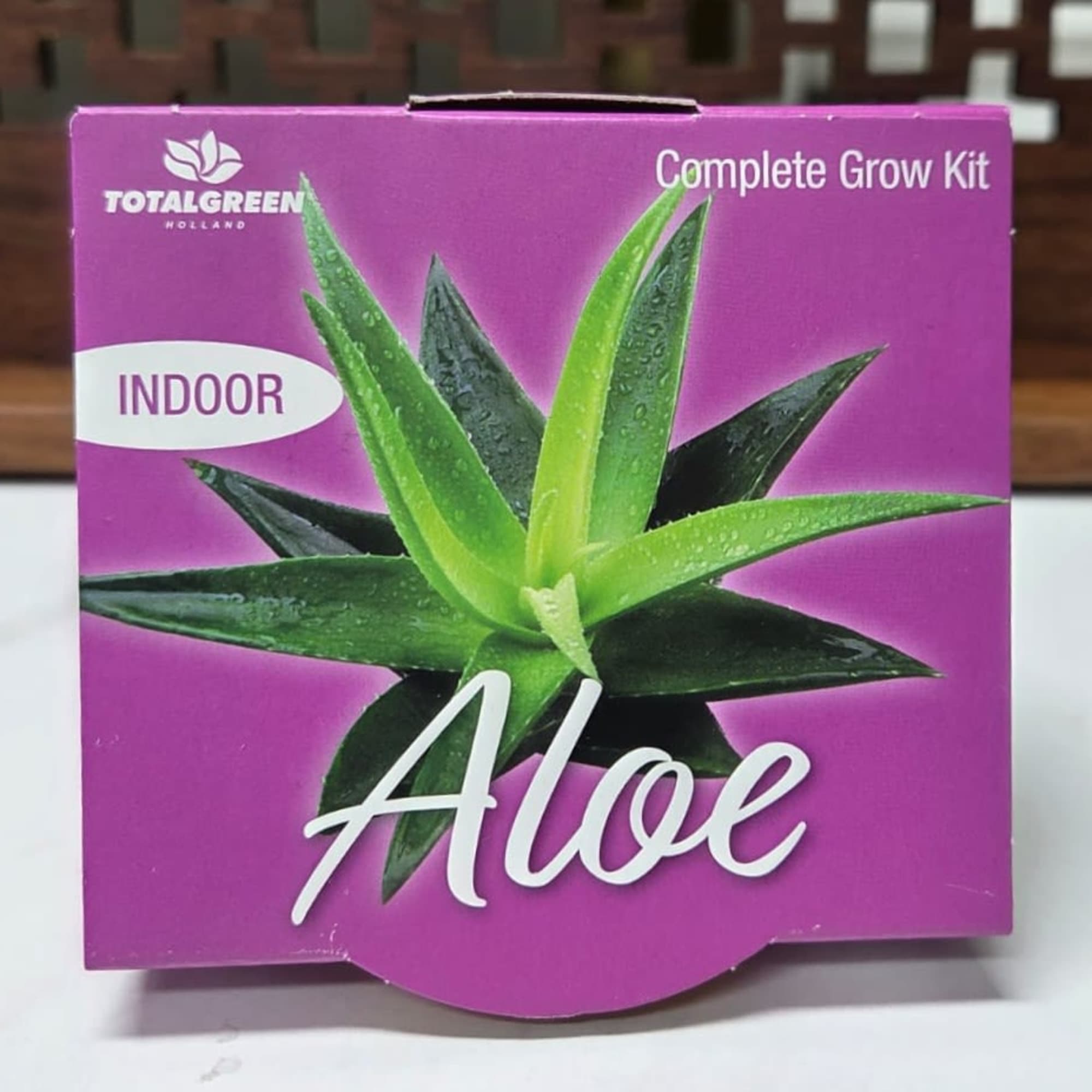 Purple box labeled Aloe with a succulent plant image