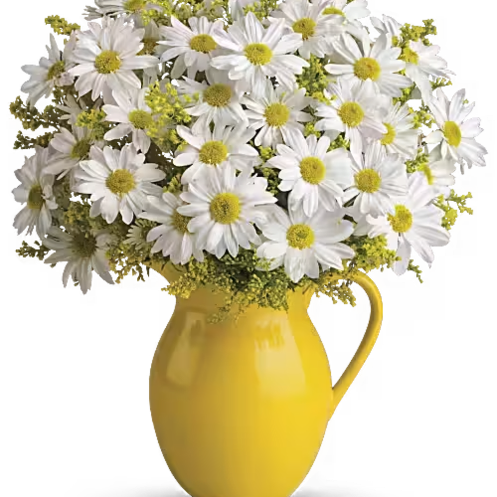 White daisies in a yellow pitcher vase