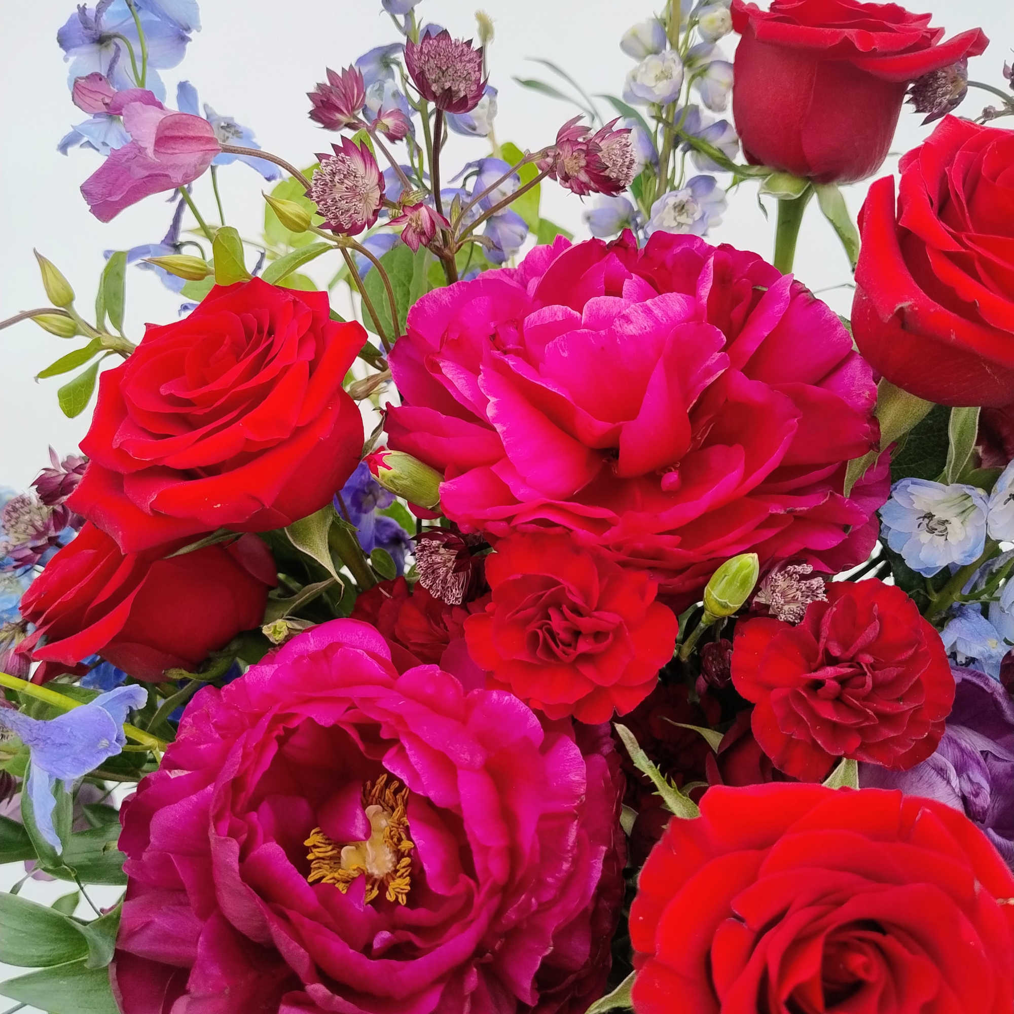 Bouquet of red and pink roses with blue and purple flowers