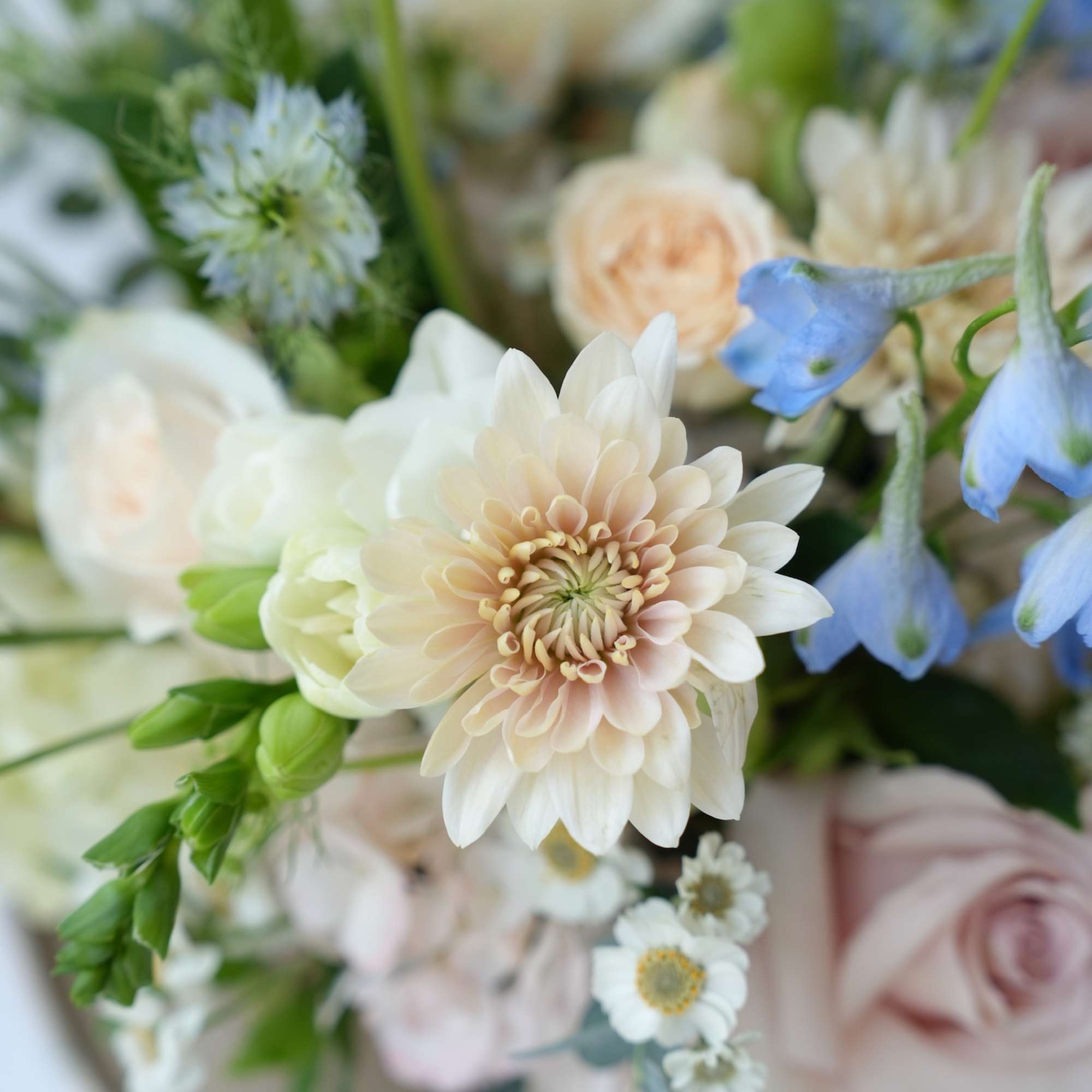 Soft pastel bouquet with cream, blush, and blue flowers
