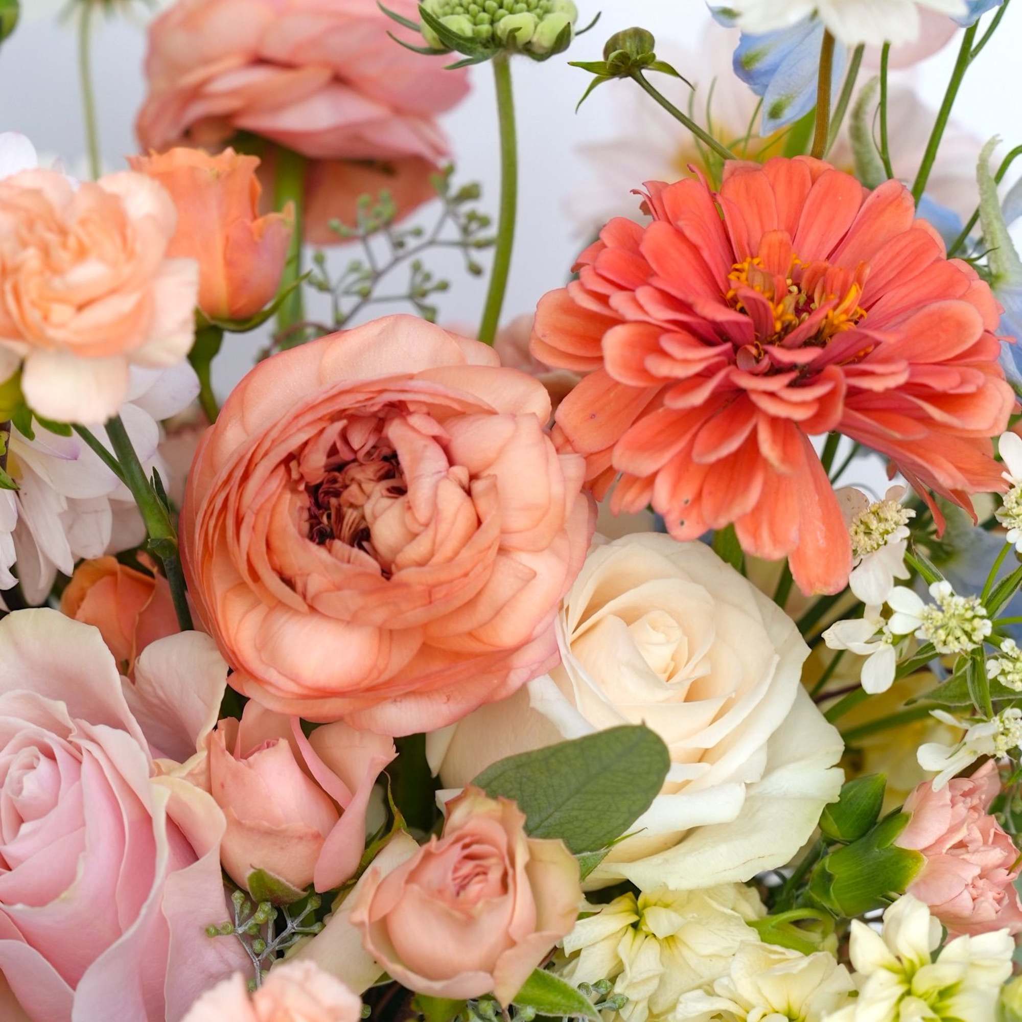 Bouquet of peach, pink, and white flowers with a coral bloom in front