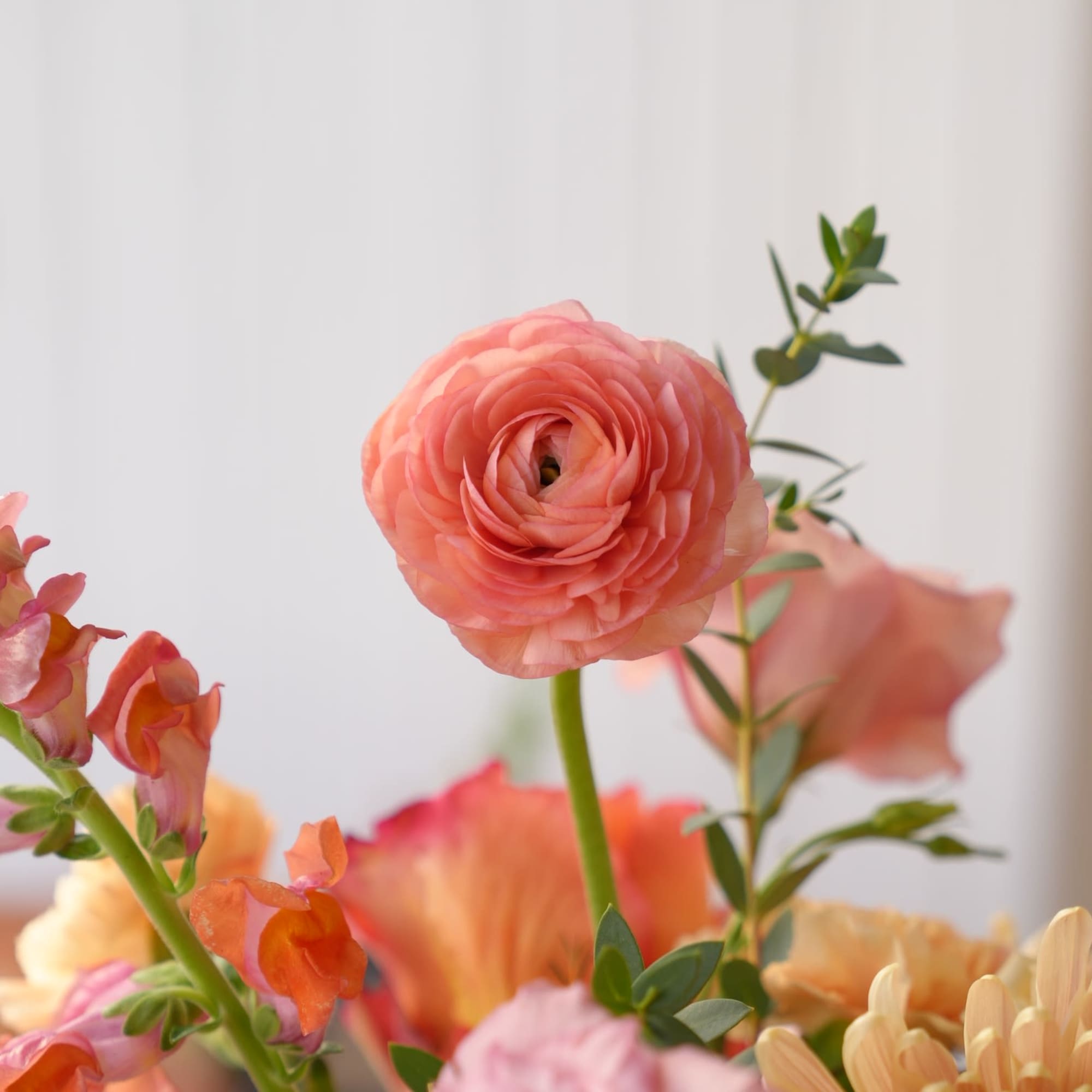 Peach ranunculus and mixed pastel flowers in a bouquet