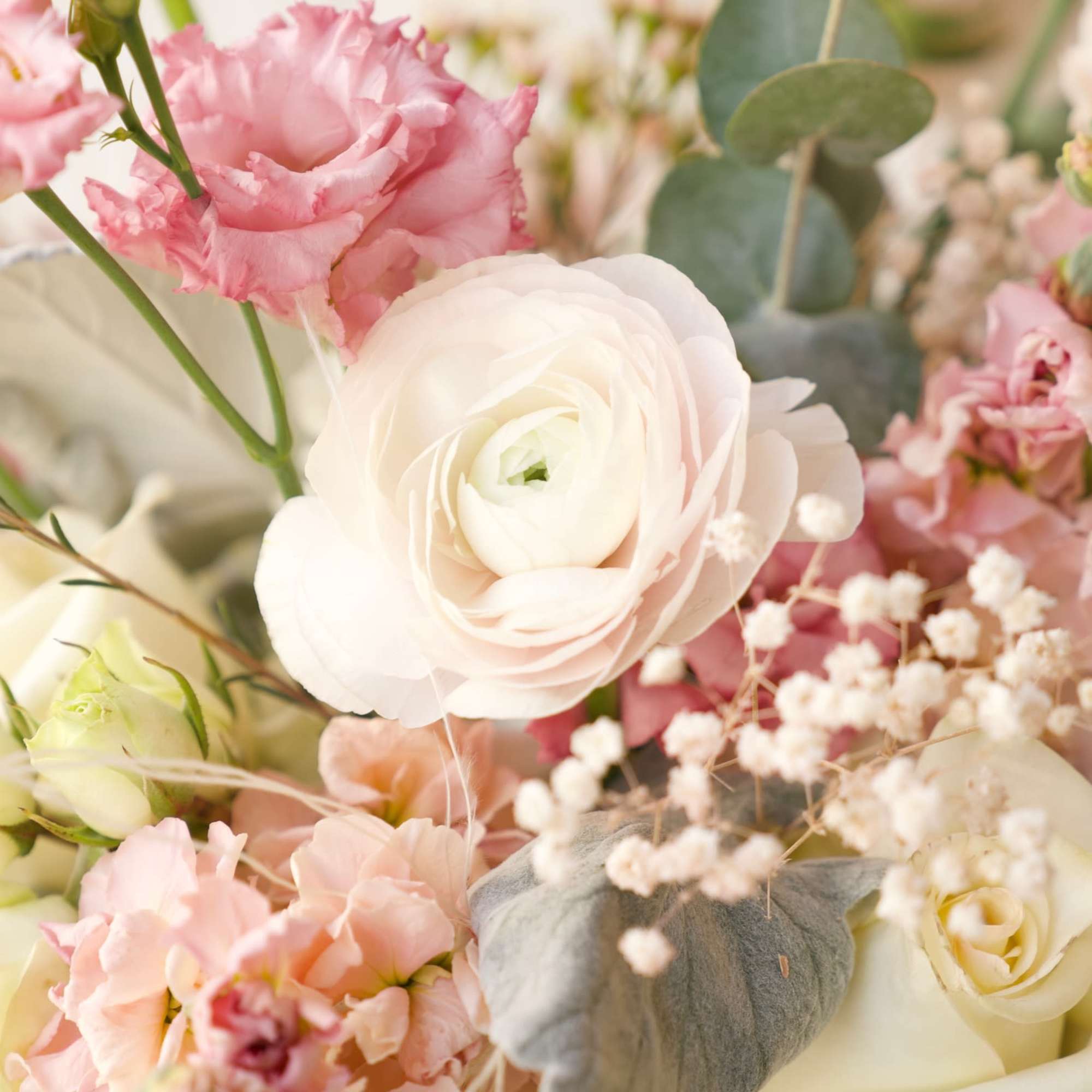 Pastel bouquet with pink and white blooms and eucalyptus
