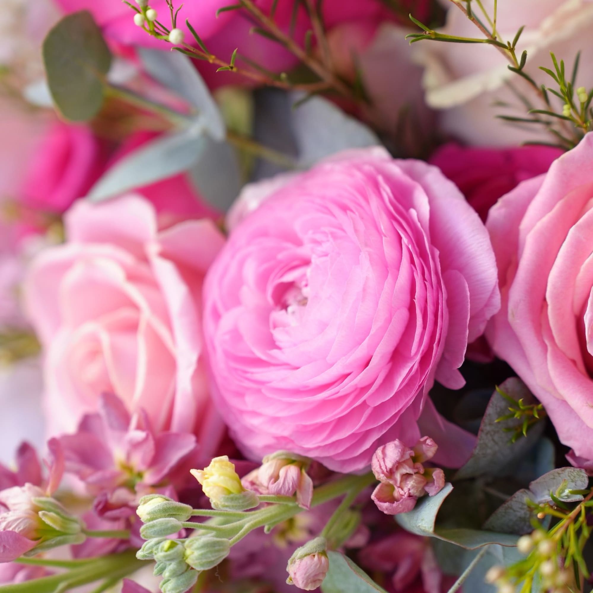 Pink ranunculus and roses with small filler flowers