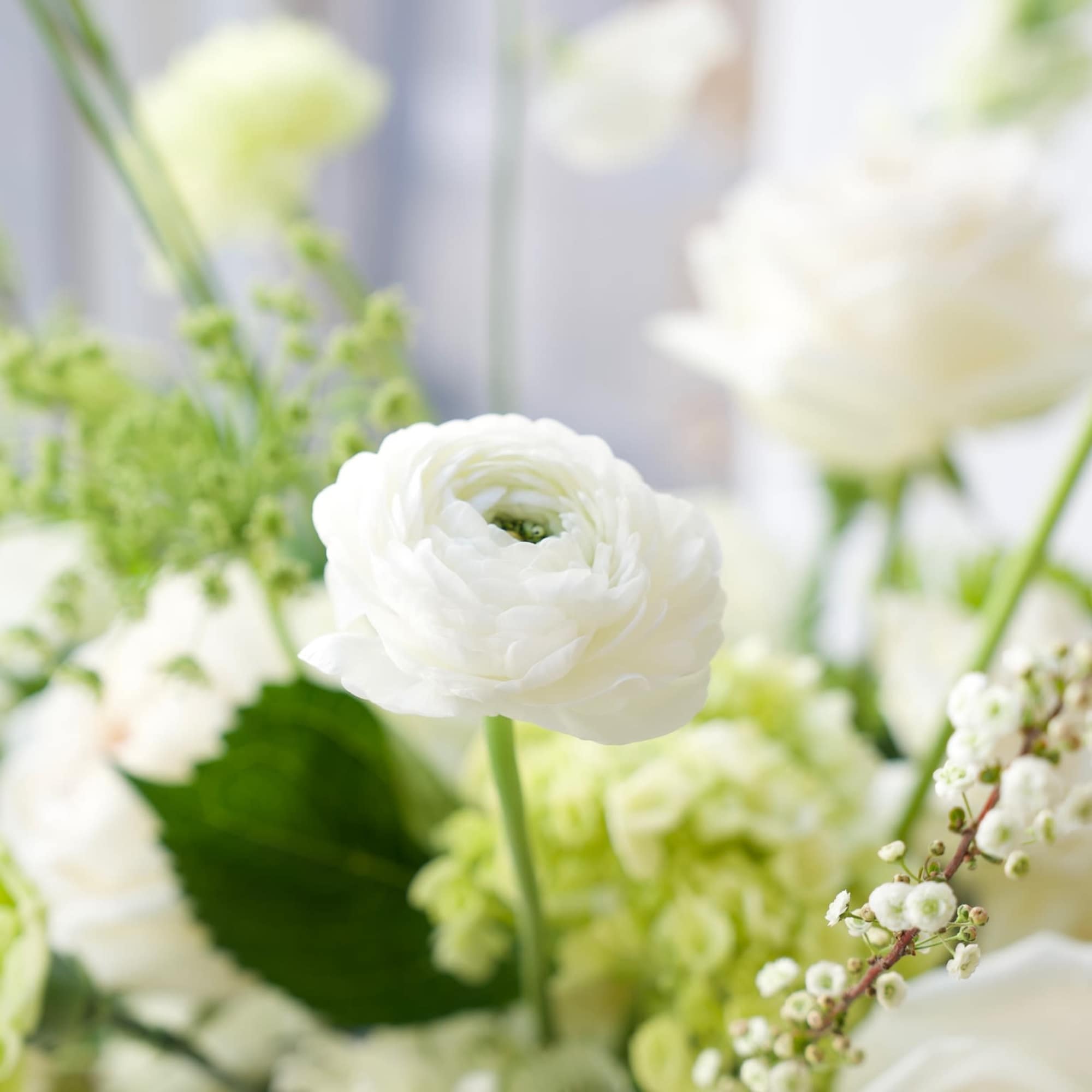 White ranunculus and cream roses in a soft floral arrangement