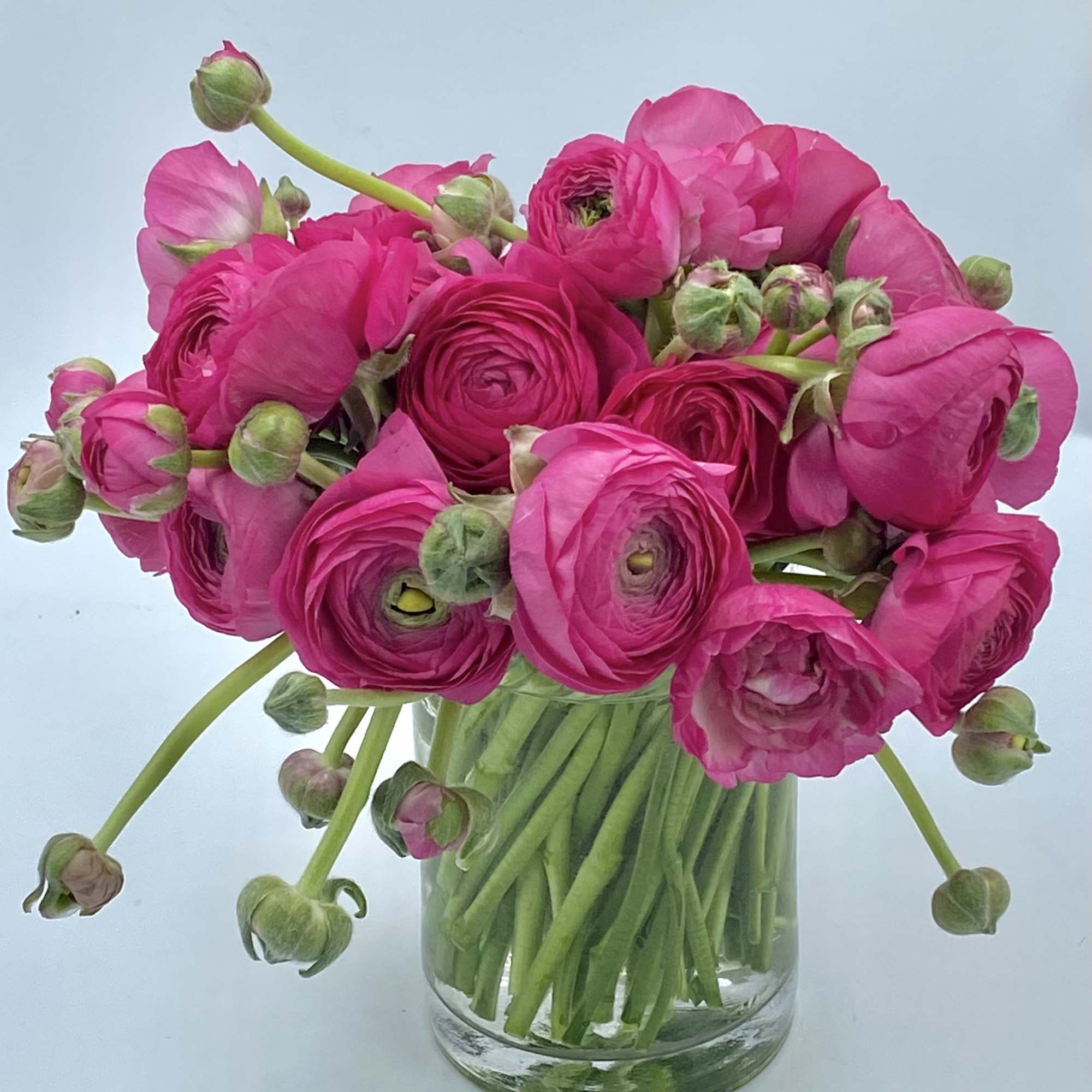 Pink ranunculus bouquet in a clear glass vase