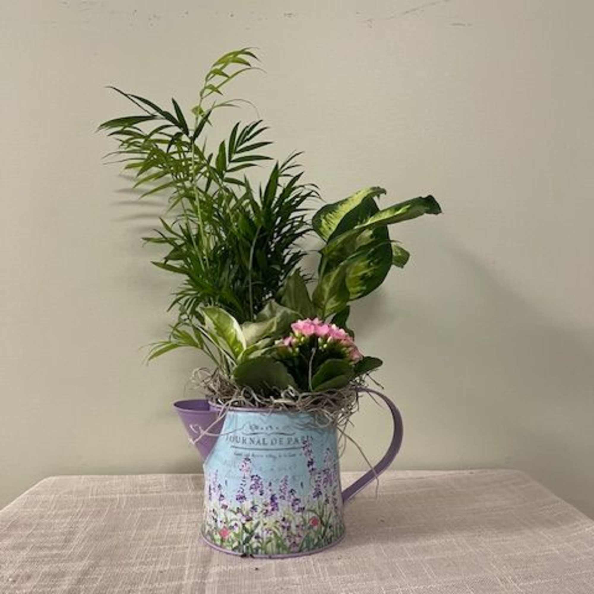 Potted green plant arrangement with a small pink flowering plant in a decorative watering can