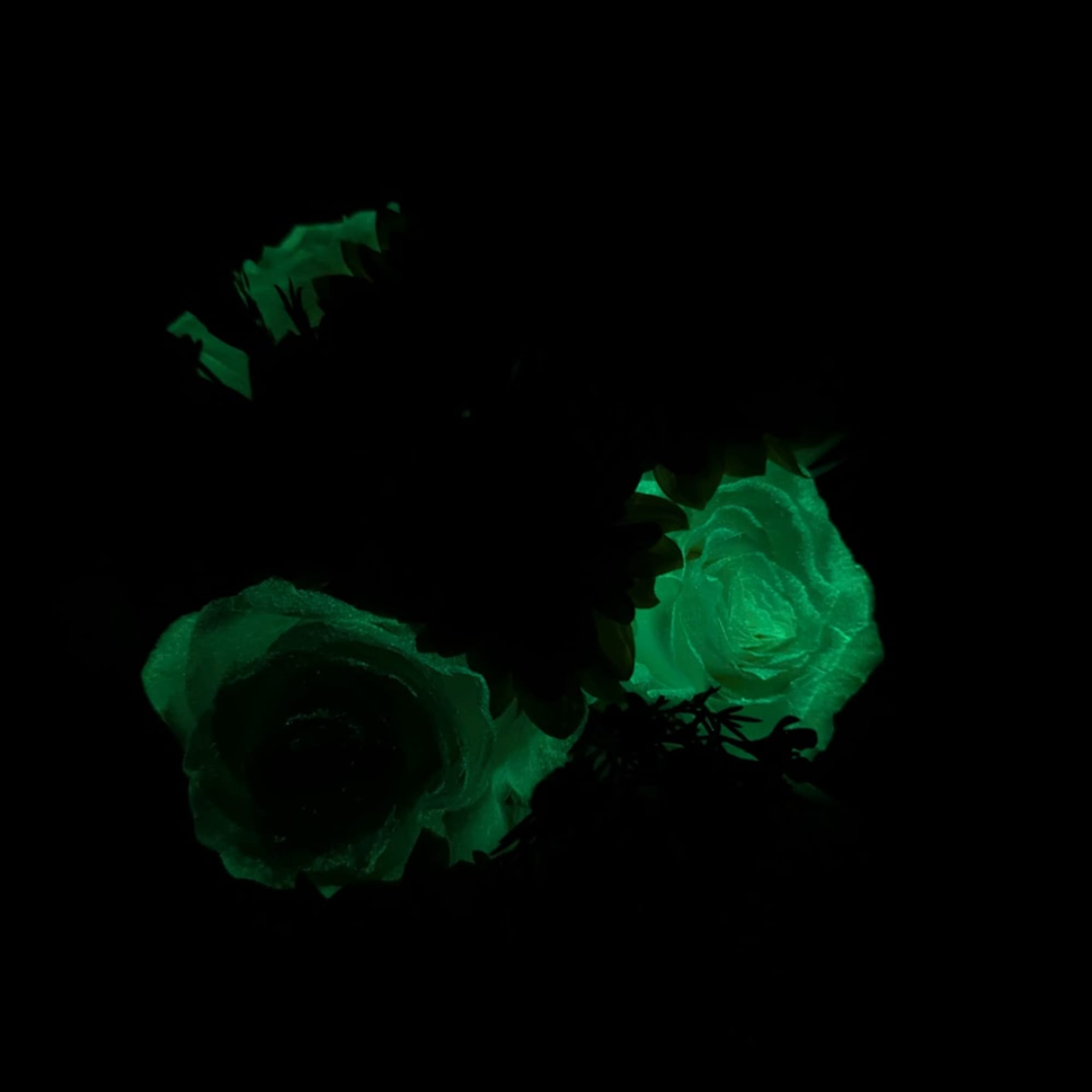 Dark floral arrangement with glowing green roses