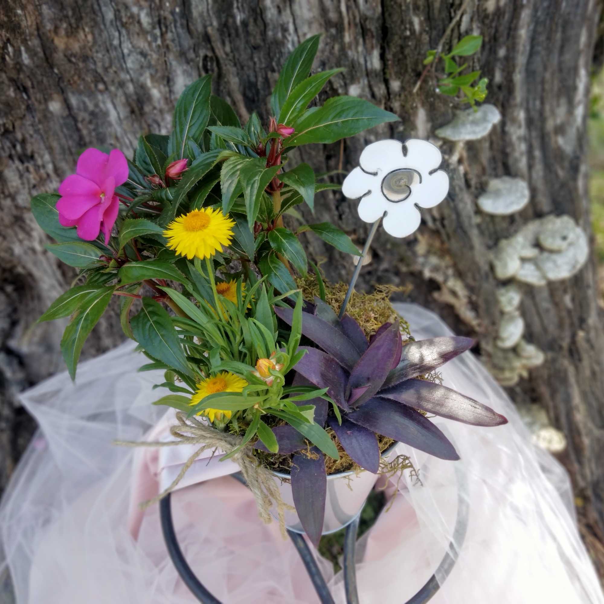 Small potted floral arrangement with pink and yellow blooms