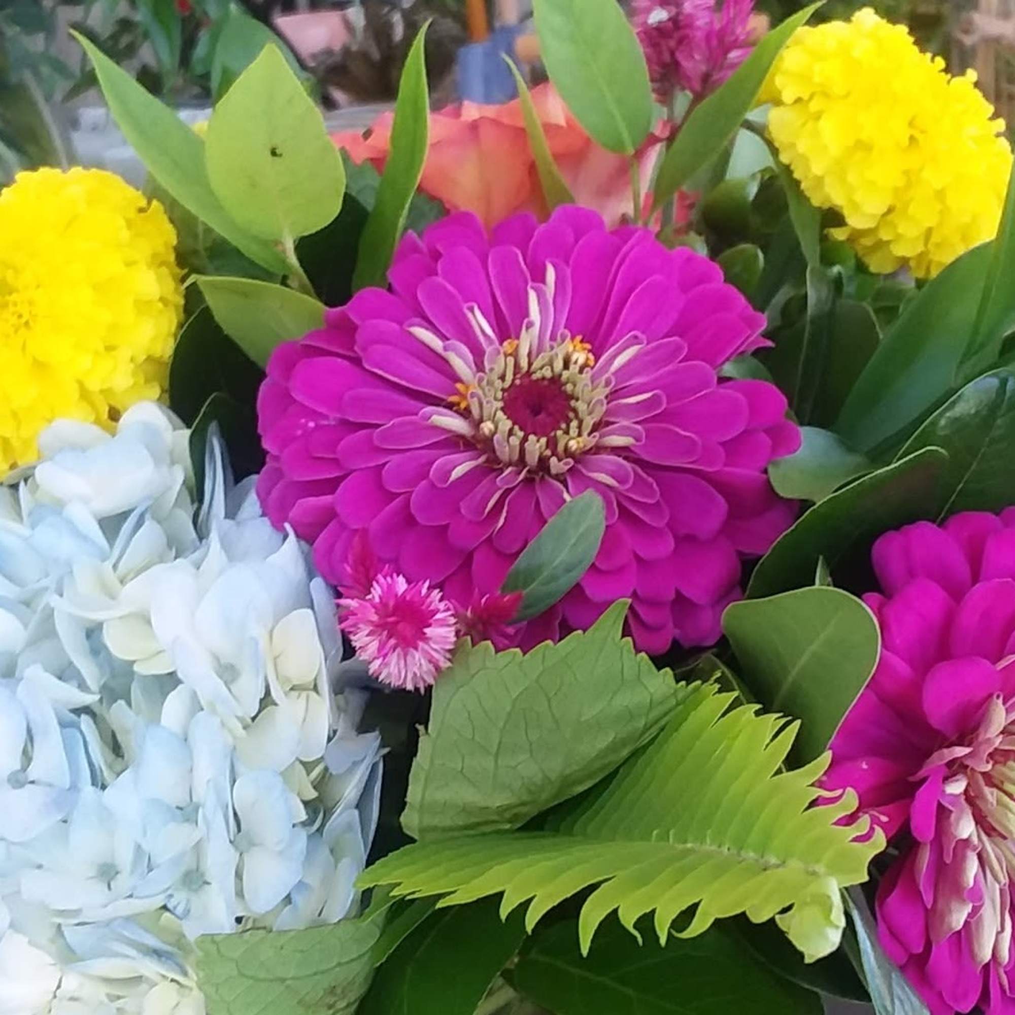 Bright bouquet with pink zinnias, yellow pom flowers, and pale blue hydrangea