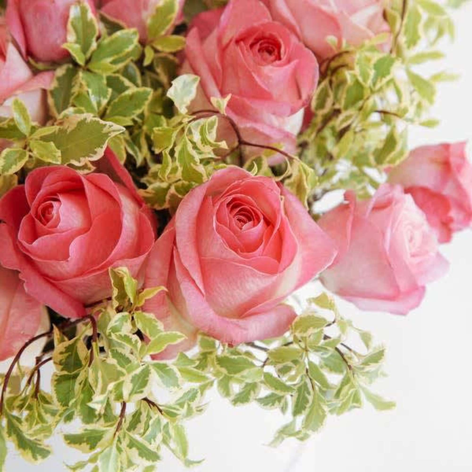 Beautiful roses mixed with green foliage make for a stunningly striking cut, photo 2 of 2