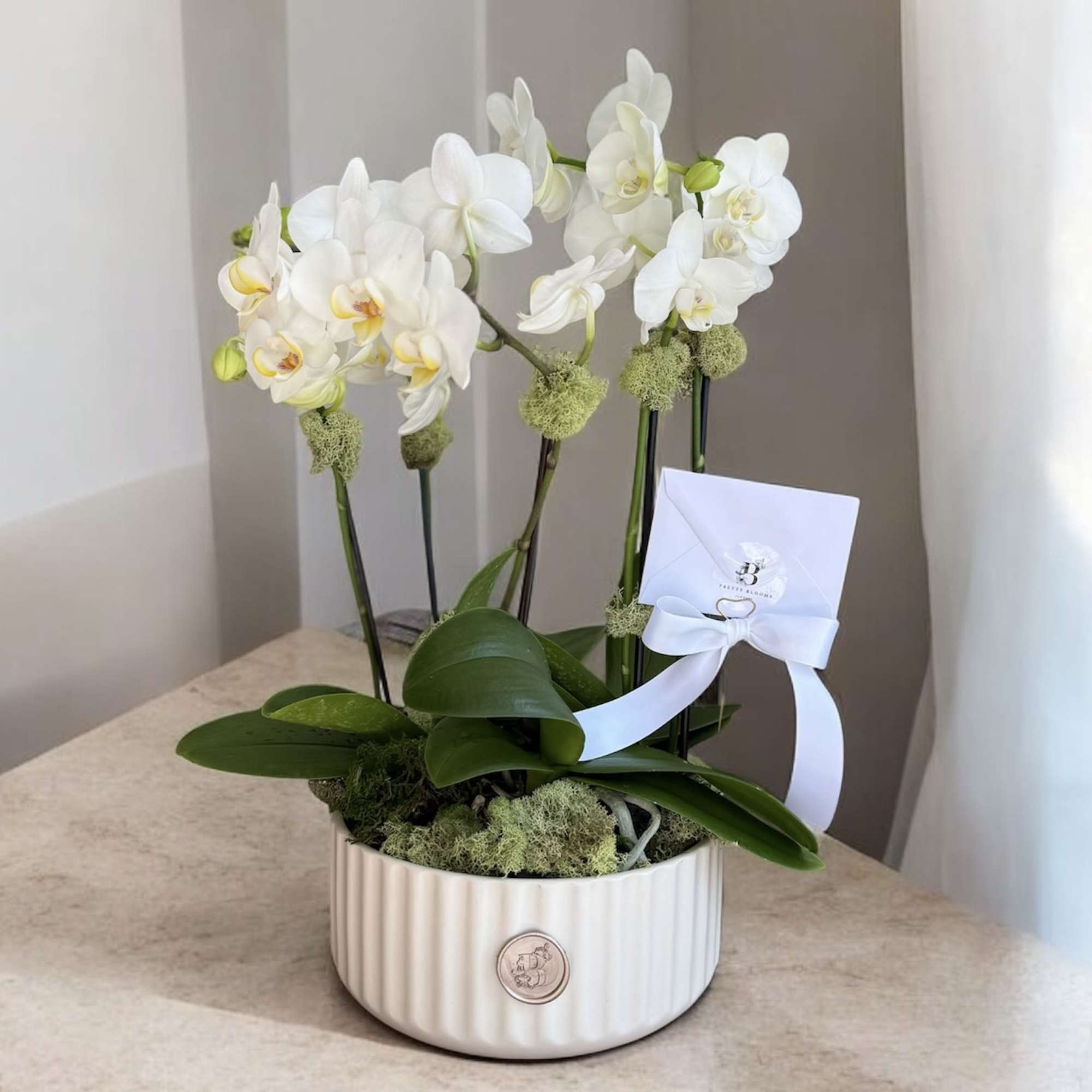 White orchids arranged in a white ceramic pot with a ribboned card