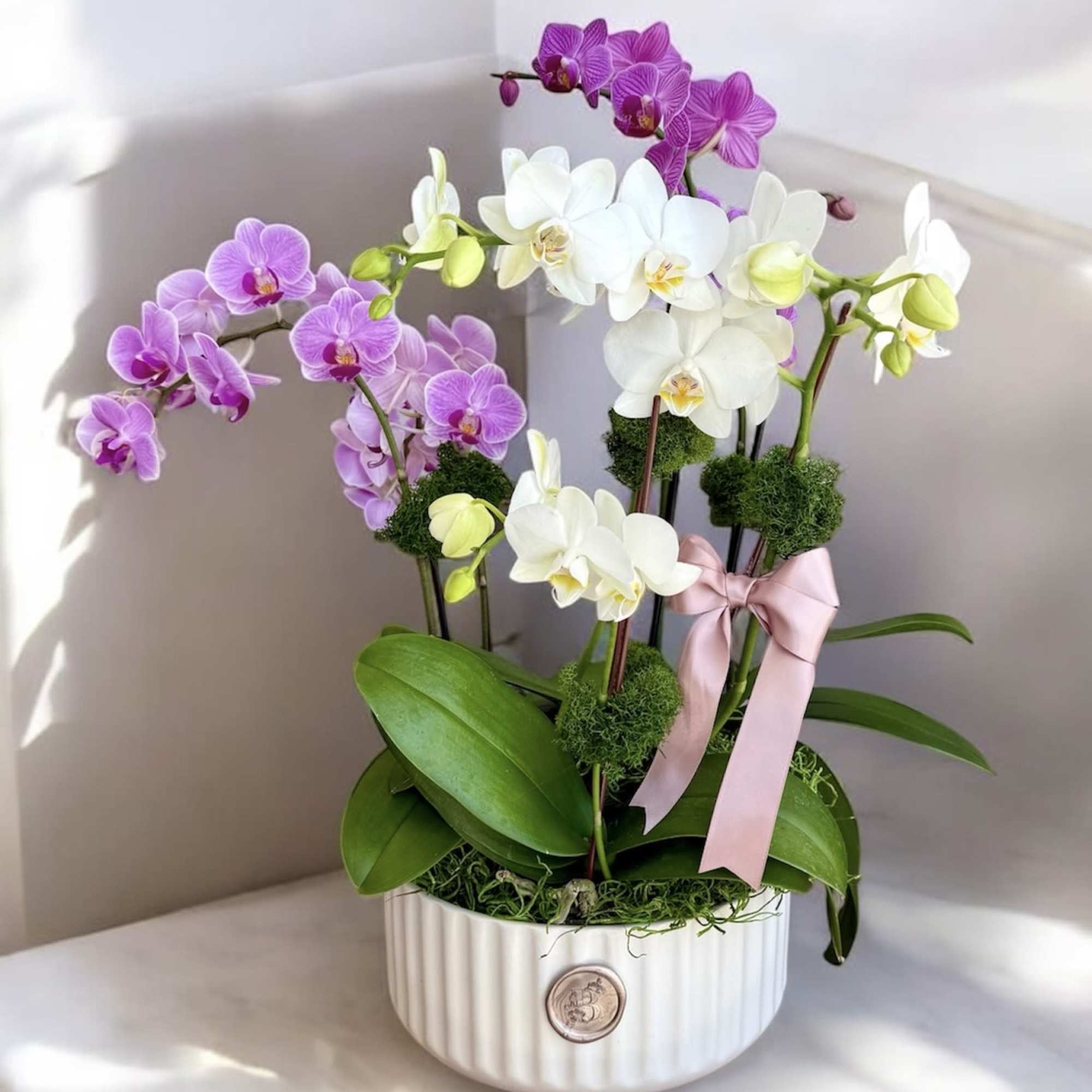 Potted orchids in white, pink, and purple with a pink ribbon