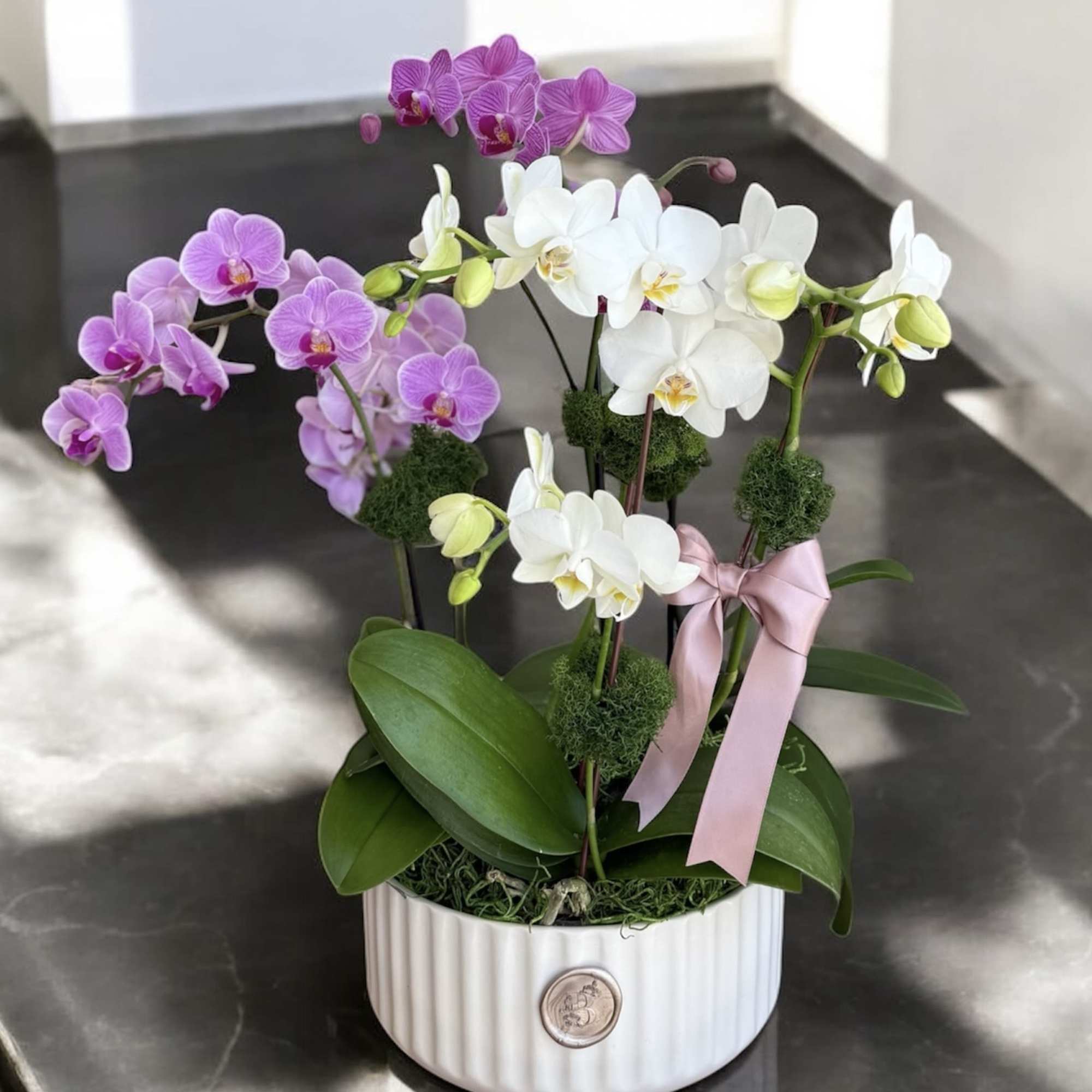 Potted orchids in white and purple with a pink ribbon in a white planter