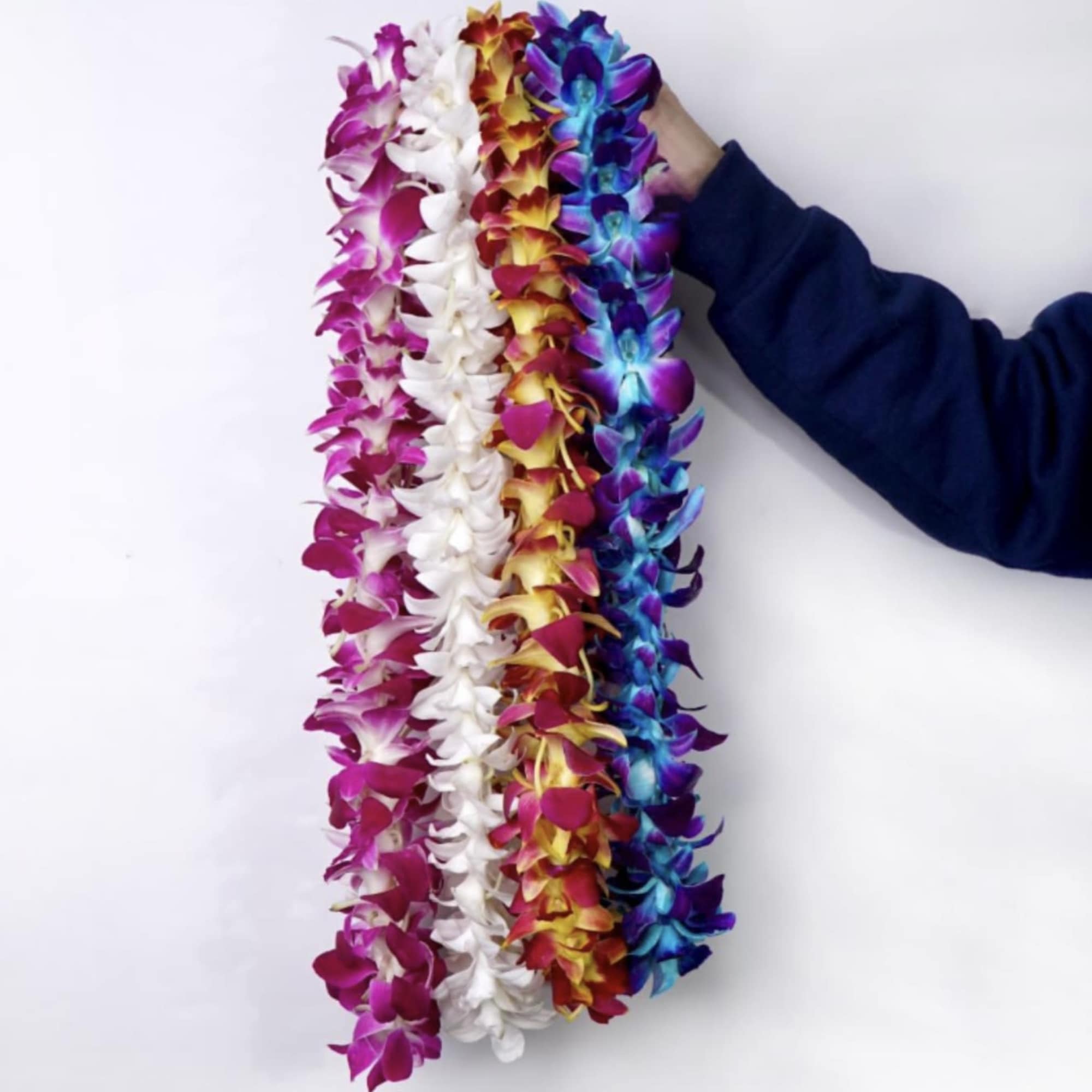 Celebrate your graduate in style with our fresh orchid leis, available in