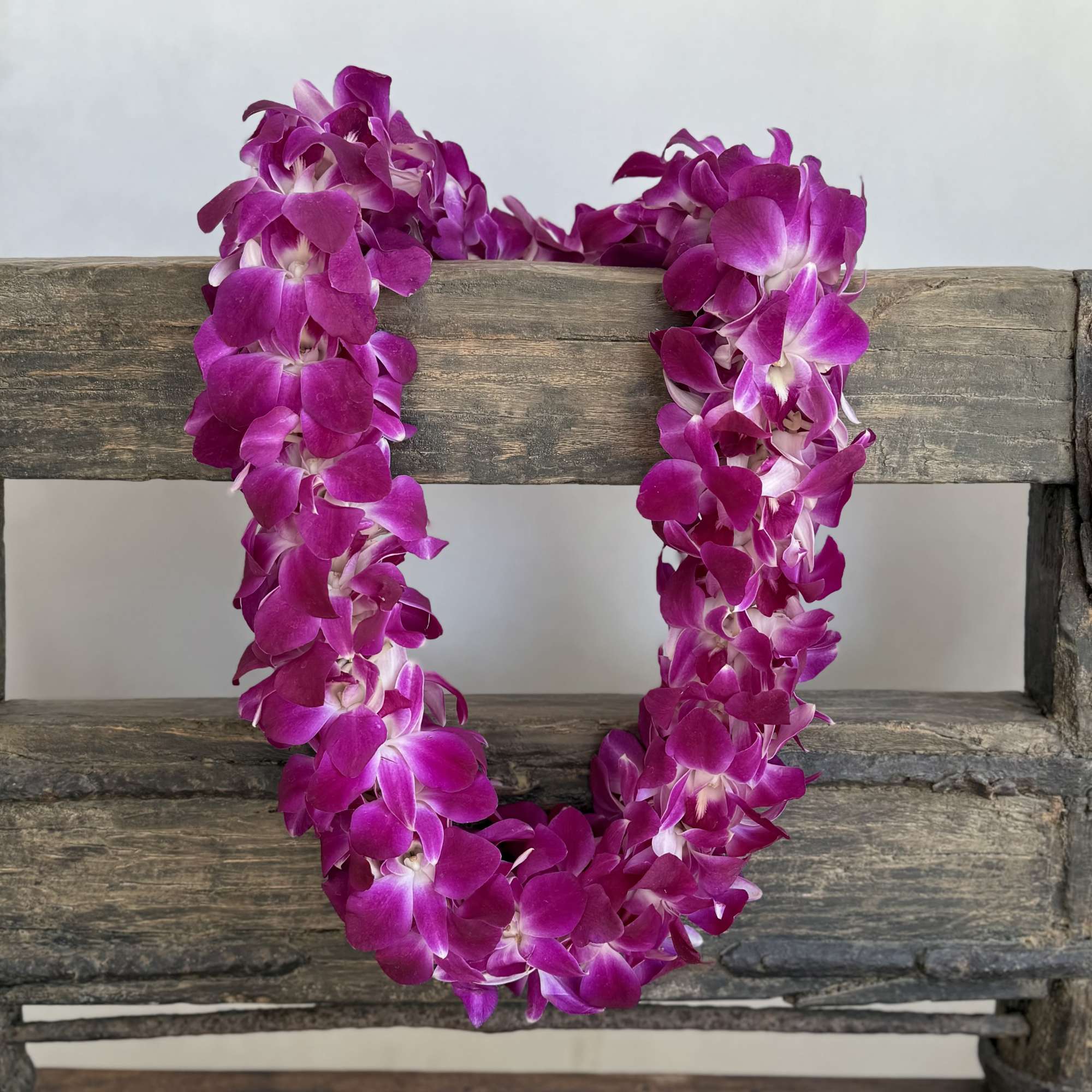 Celebrate your graduate in style with our fresh orchid leis, available in