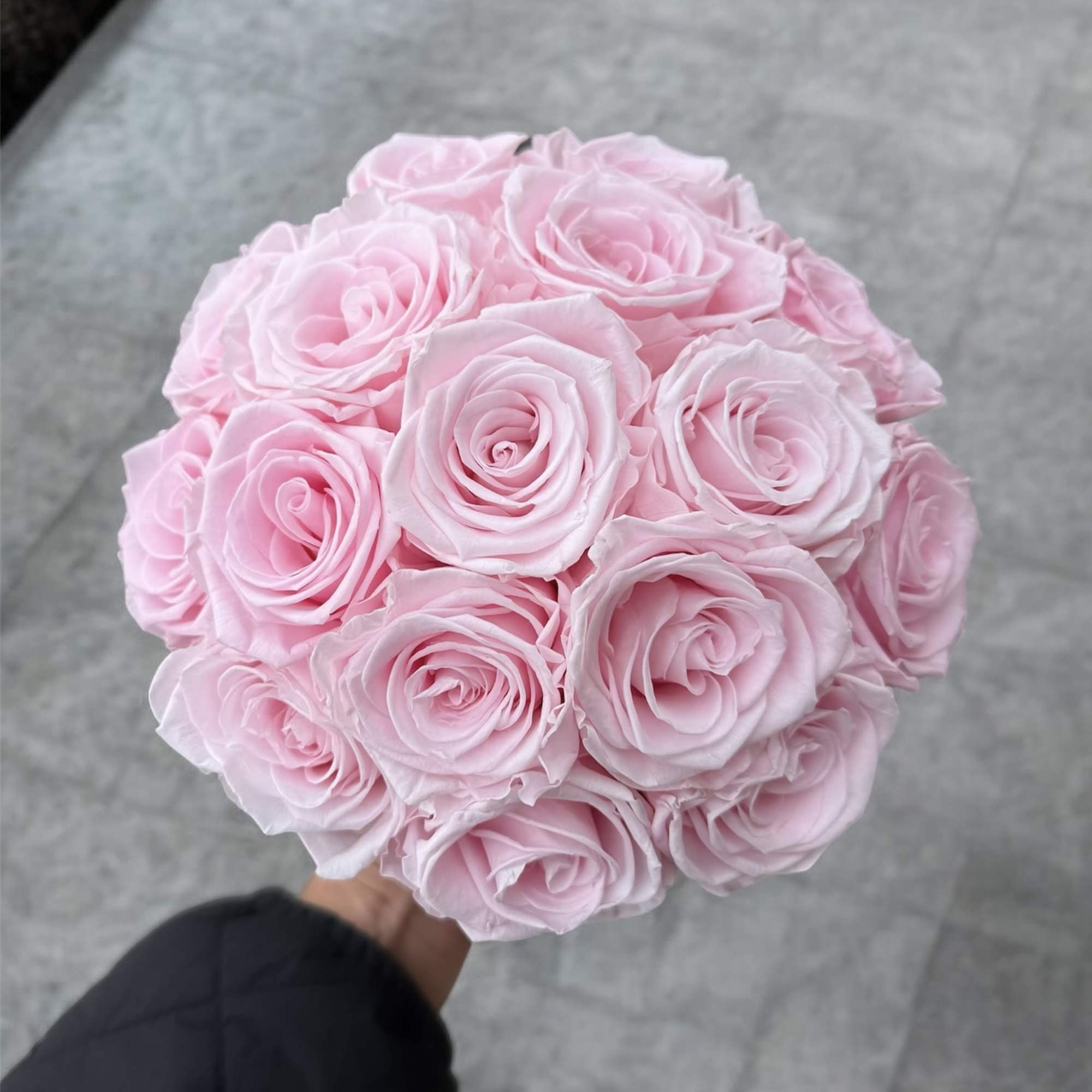 Round bouquet of pale pink roses held in hand