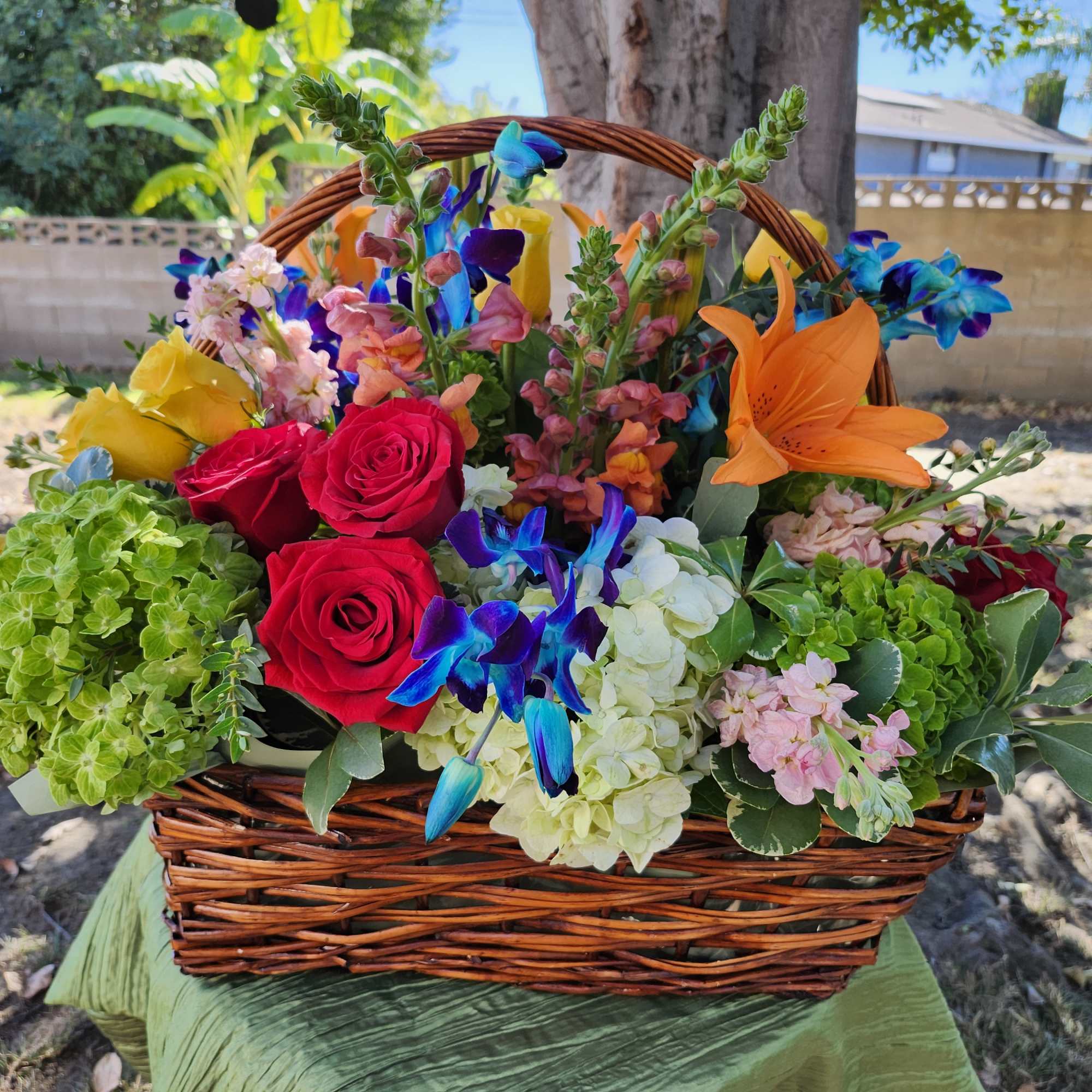 For the color lover in your life! Featuring 6 different types of