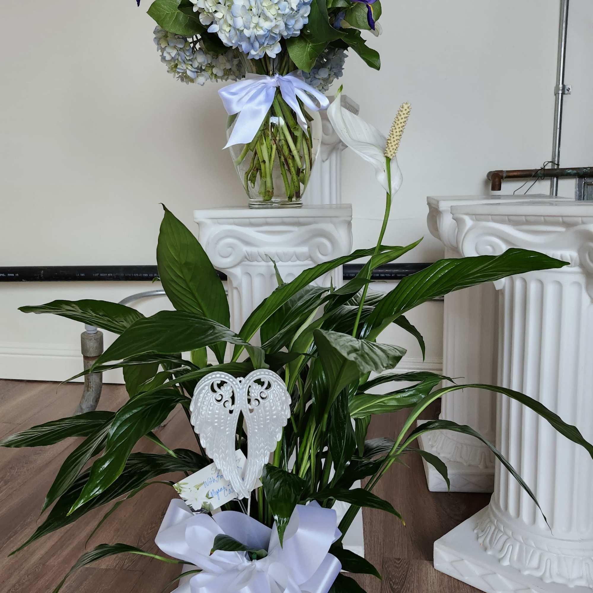 A tall reaching spathiphyllum plant, also known as a peace lily, set, photo 2 of 2