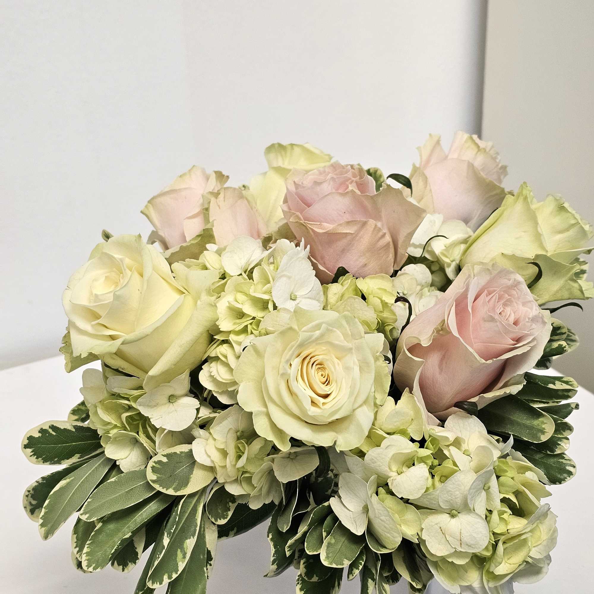 Cream and blush roses with pale hydrangeas in a white vase