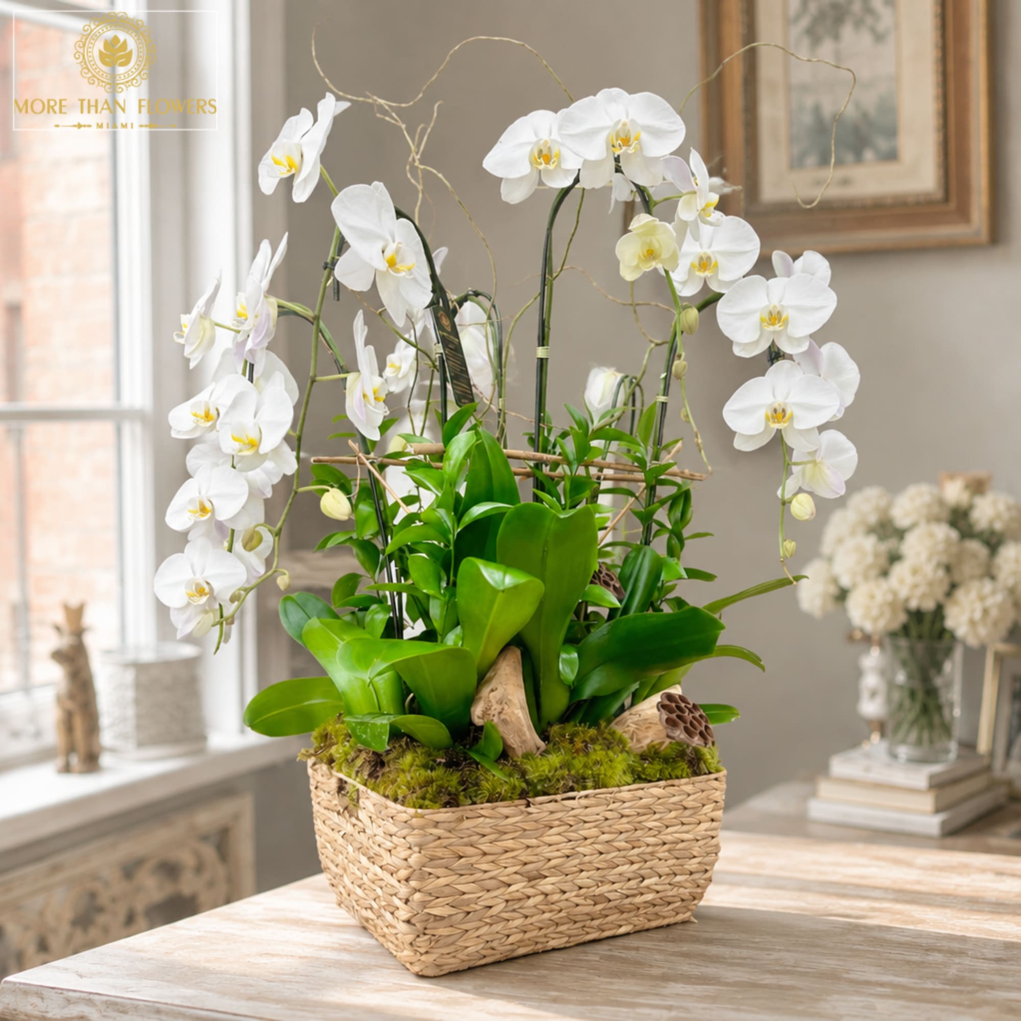 White orchids arranged in a woven basket planter