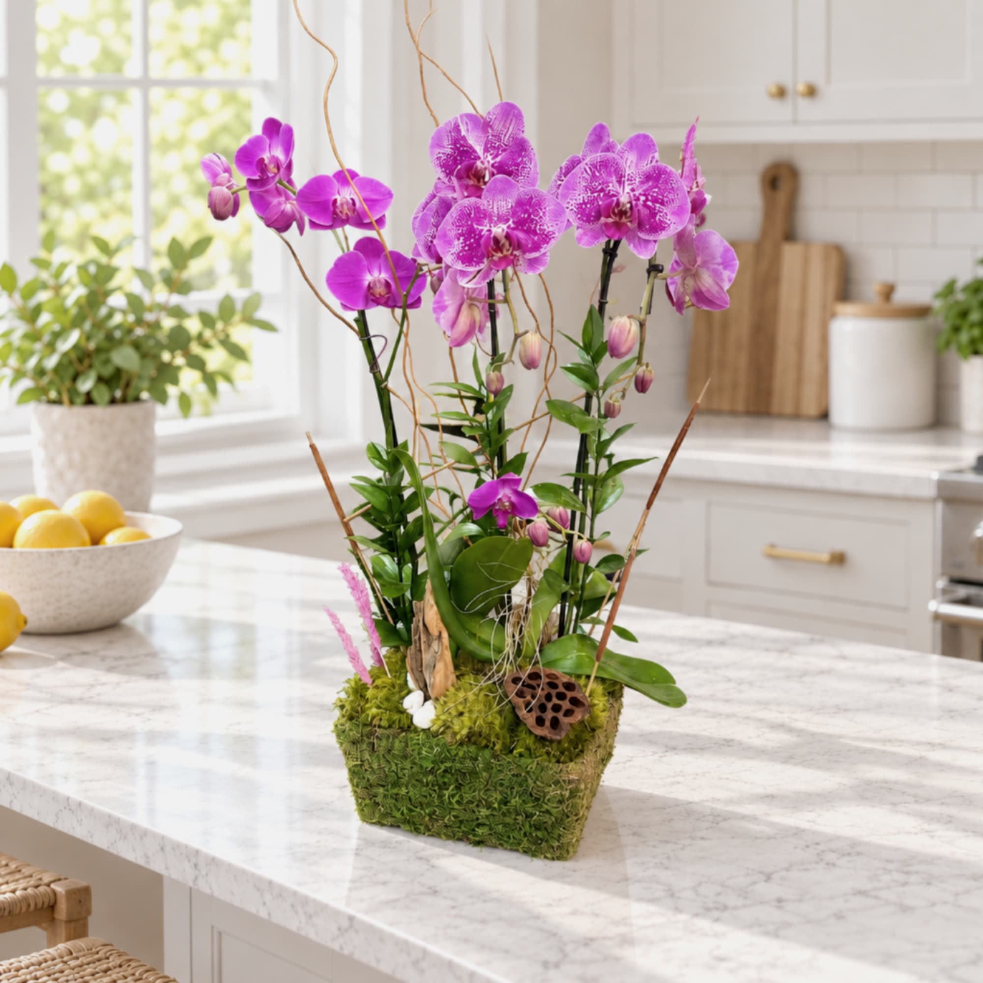 Purple orchids arranged in a moss-covered container on a kitchen counter