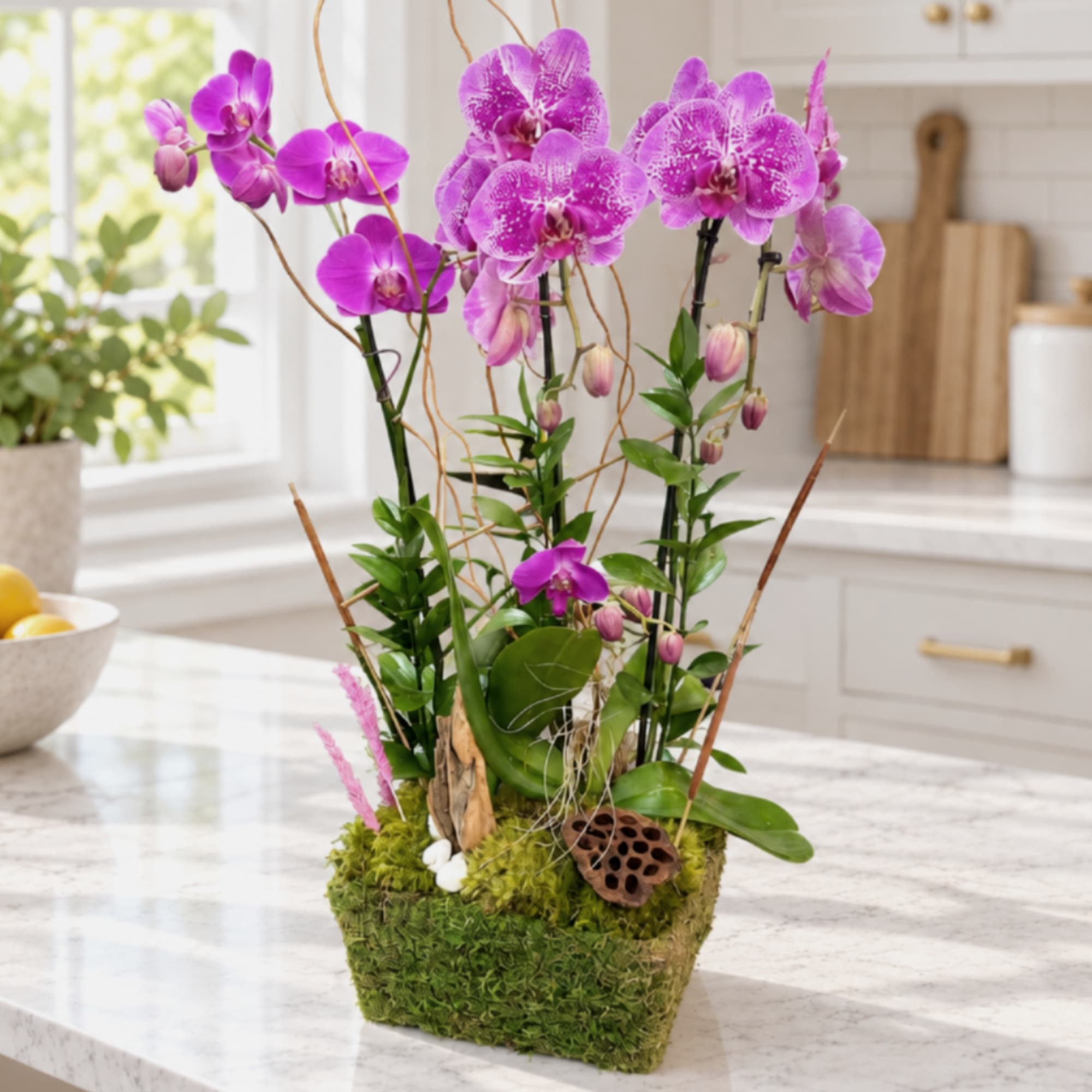 Purple orchids arranged in a moss-covered square planter