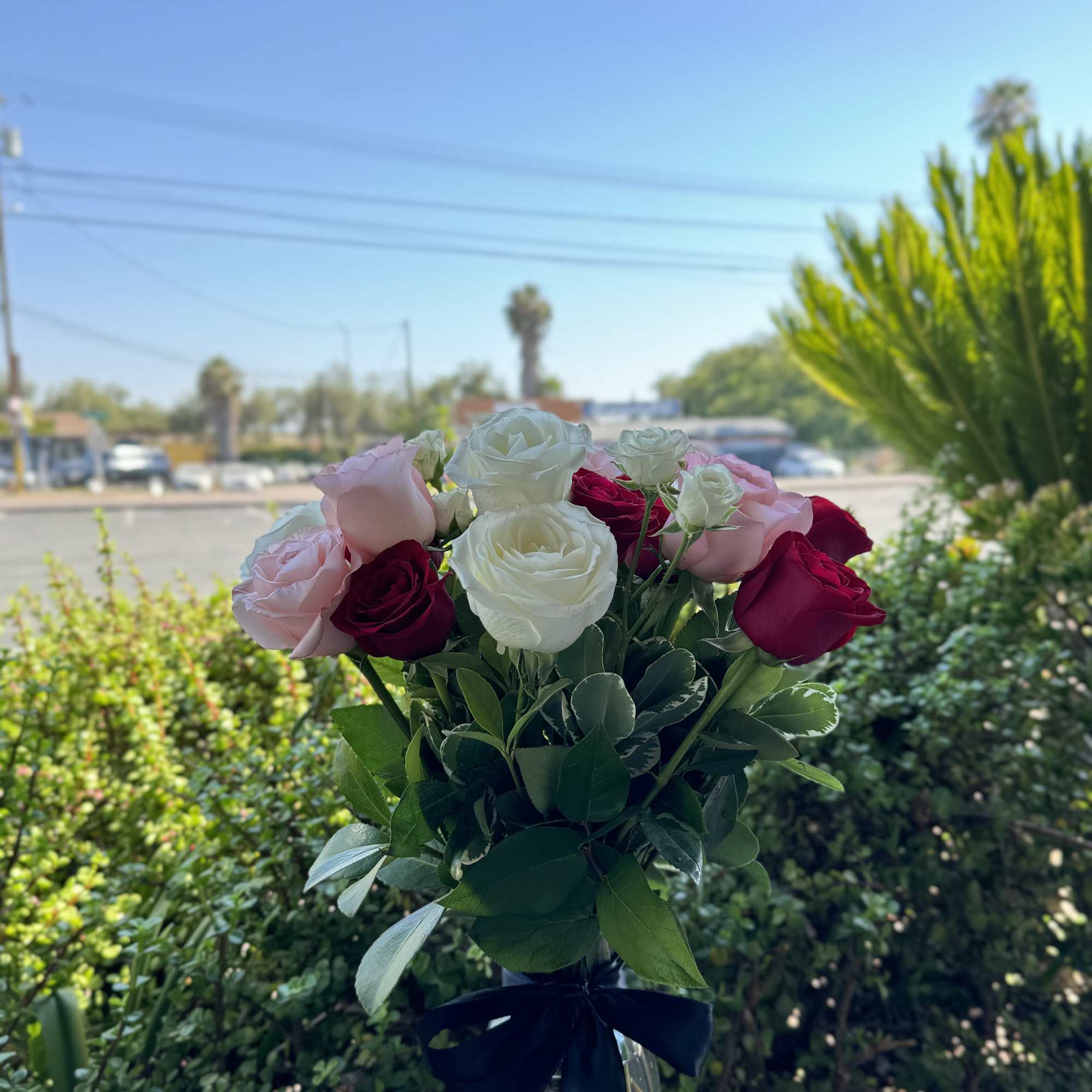 Bouquet of pink, white, and red roses in a glass vase with a dark ribbon