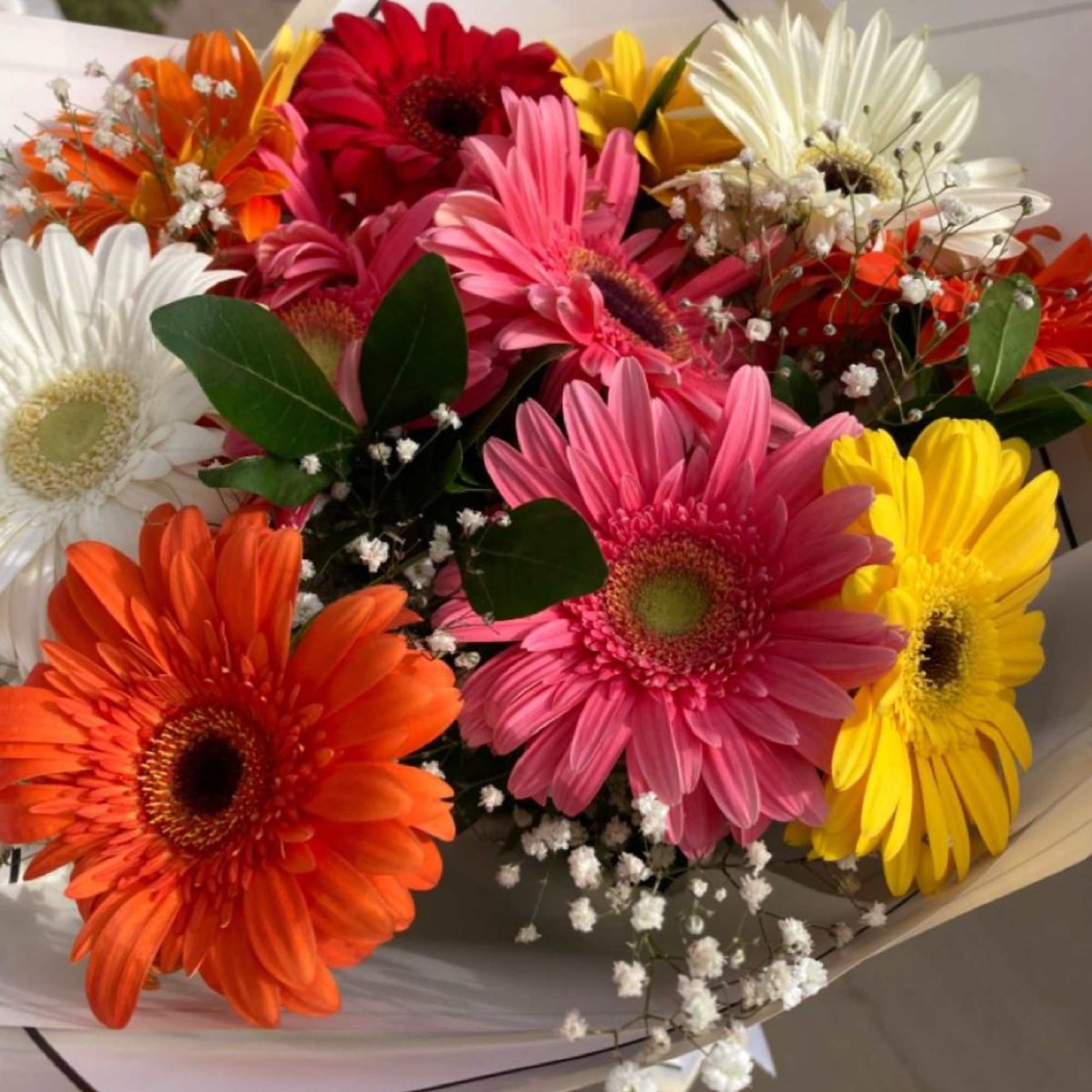 Bouquet of colorful gerbera daisies with baby's breath