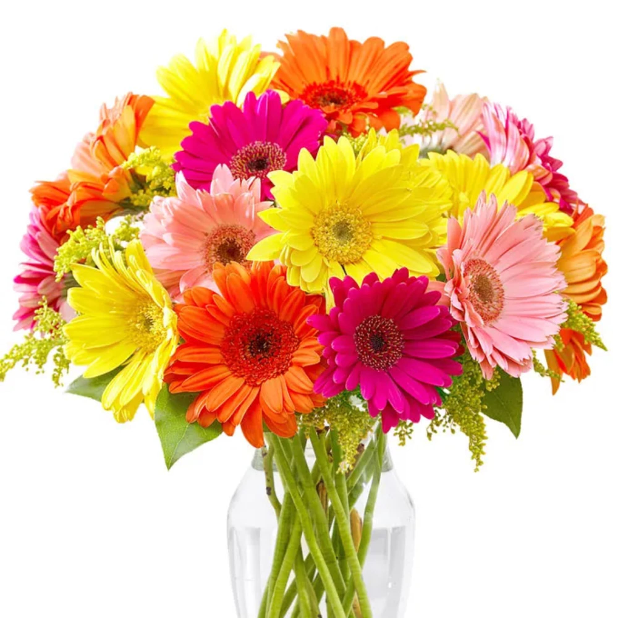 Bright mixed gerbera daisies in a clear glass vase
