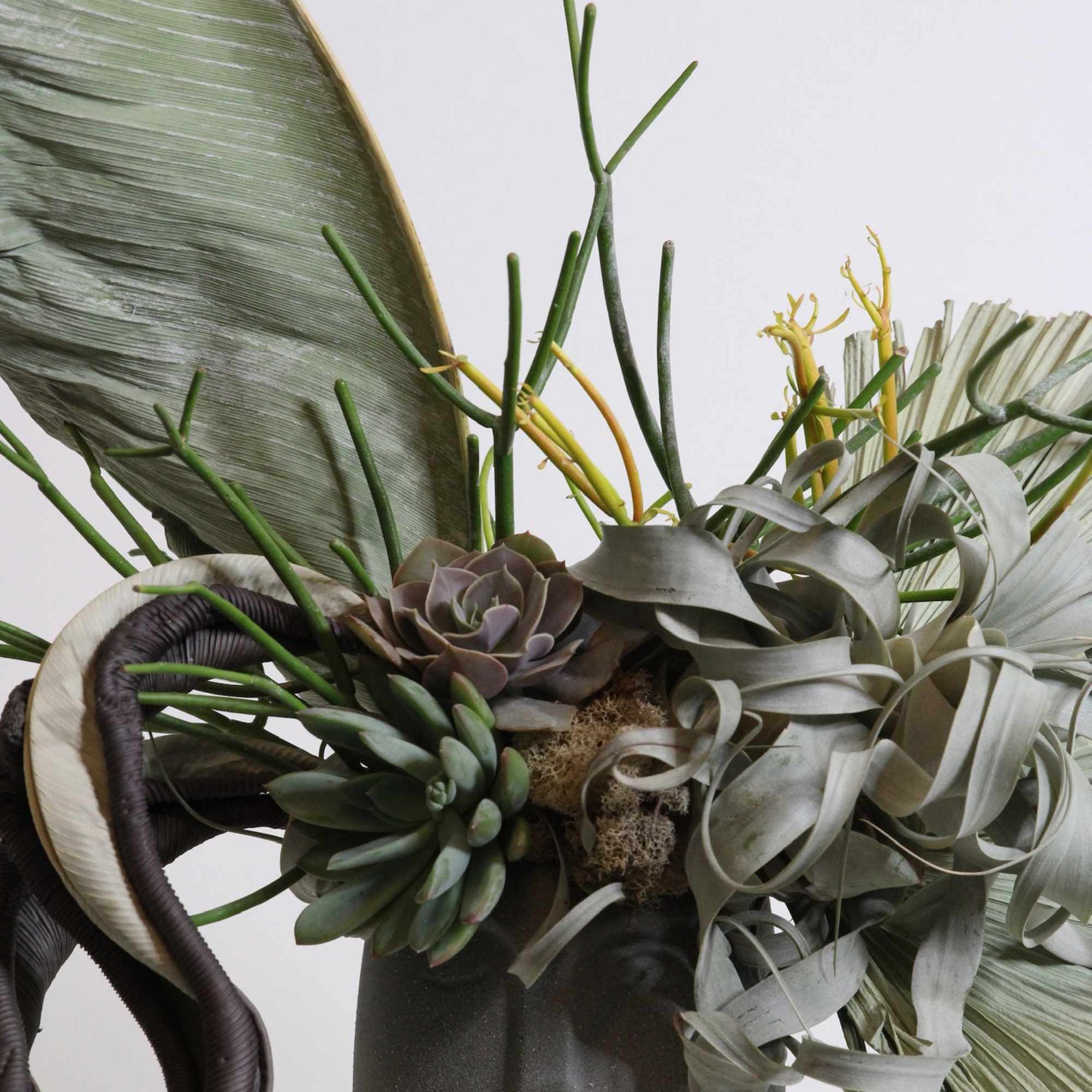 Succulent arrangement in a dark vase with large textured leaves