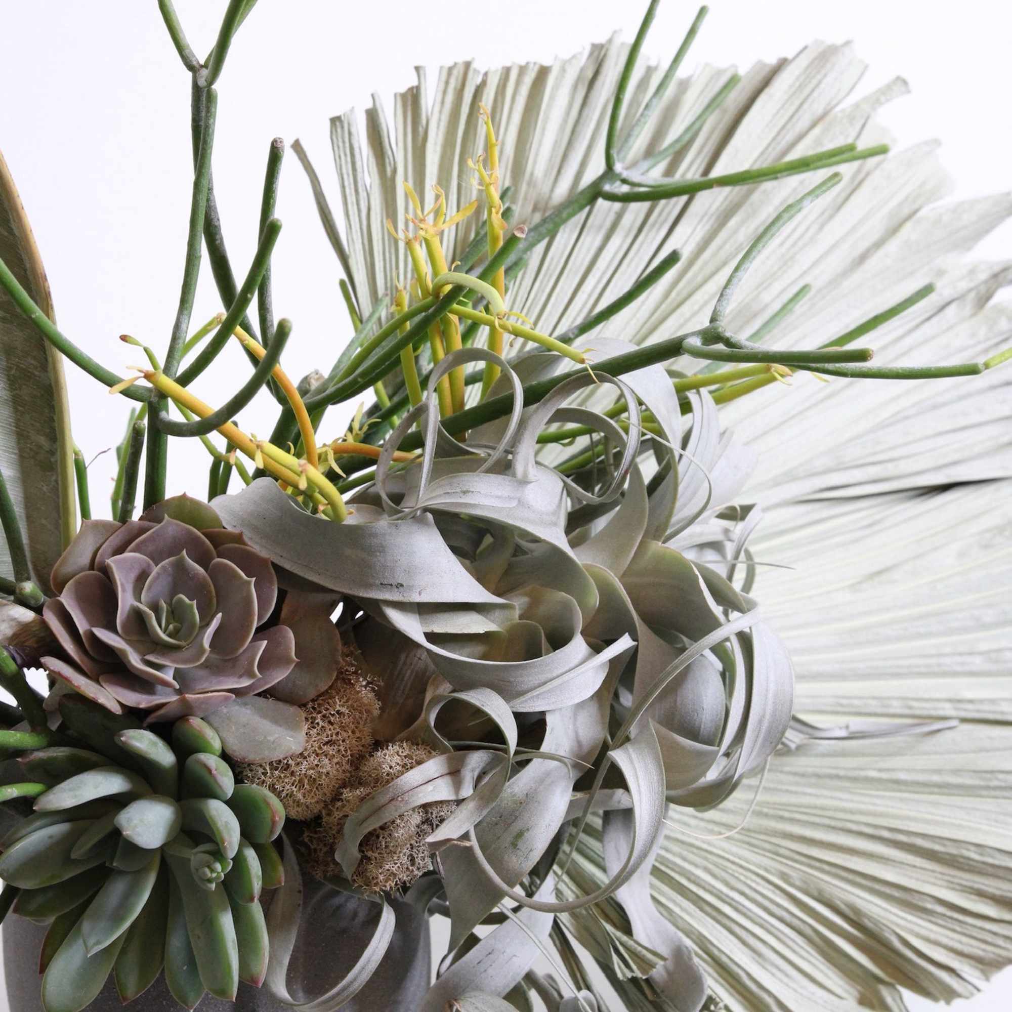 Succulent arrangement in a gray pot with pale dried foliage