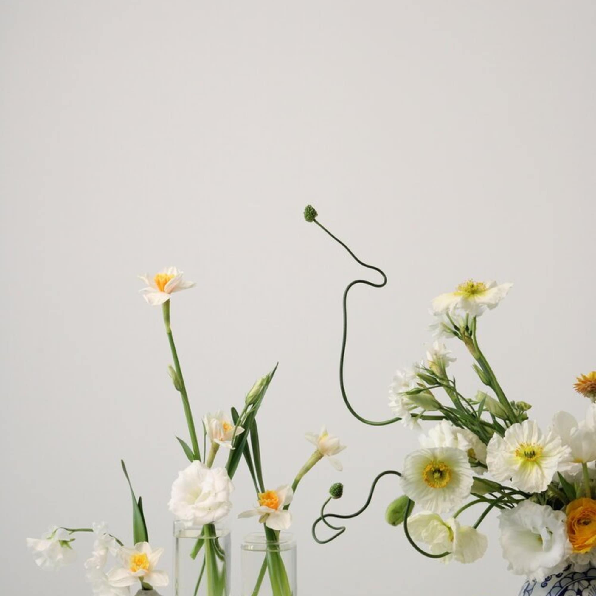 - Whimsical flower arrangement in airy whites, yellows, and greens
- Bright and