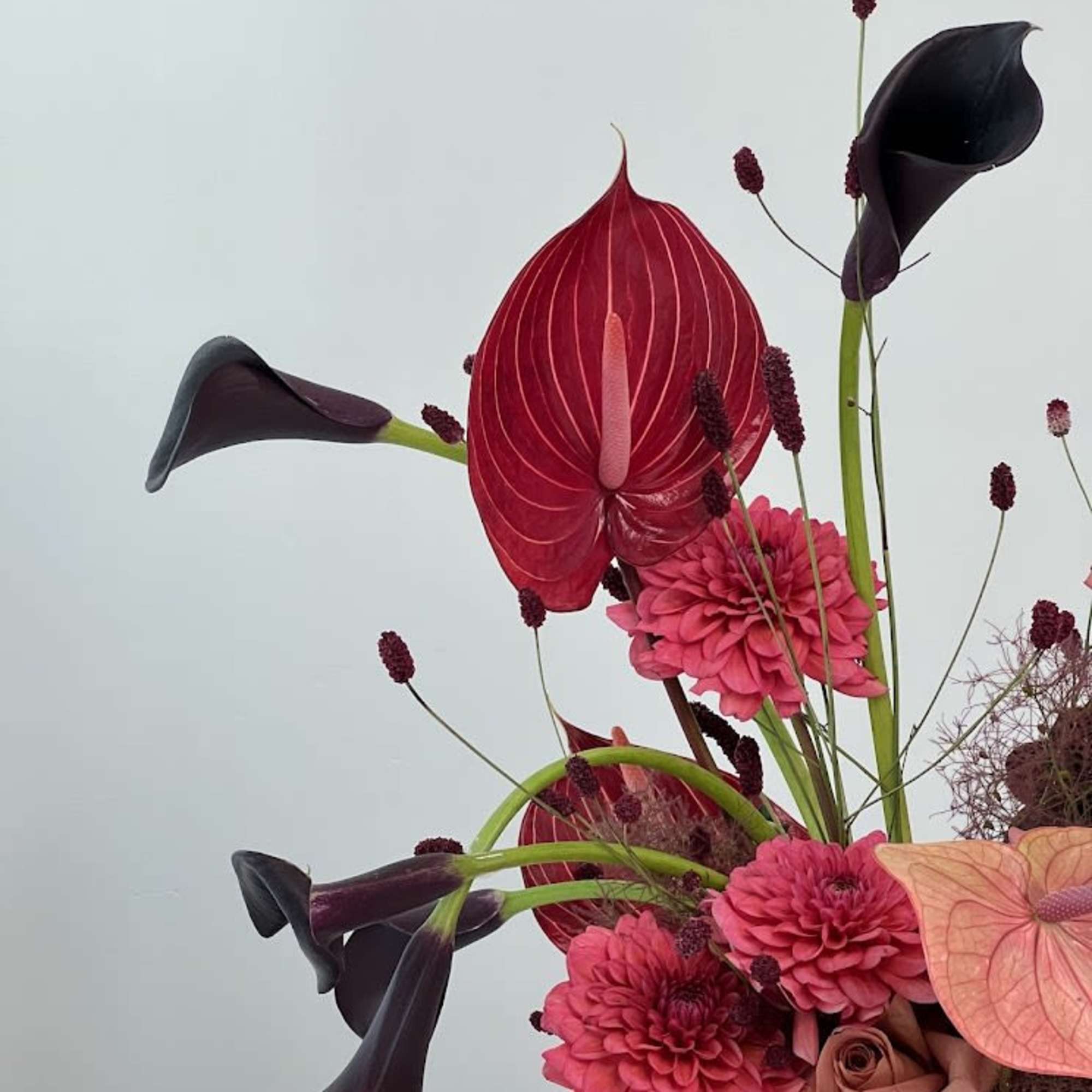 Modern bouquet with dark calla lilies, pink anthurium, and dahlias