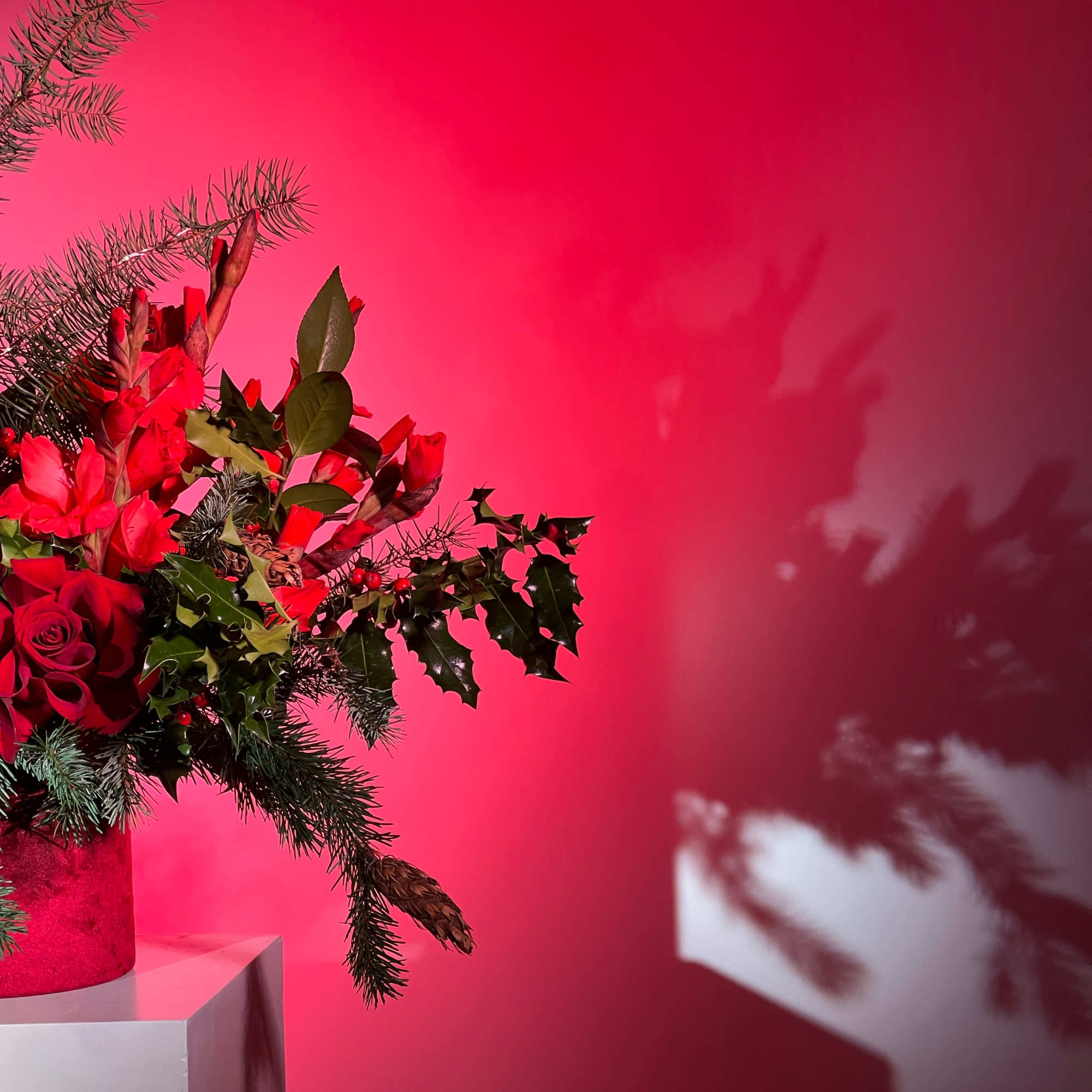 Red floral arrangement in a pink vase against a pink background